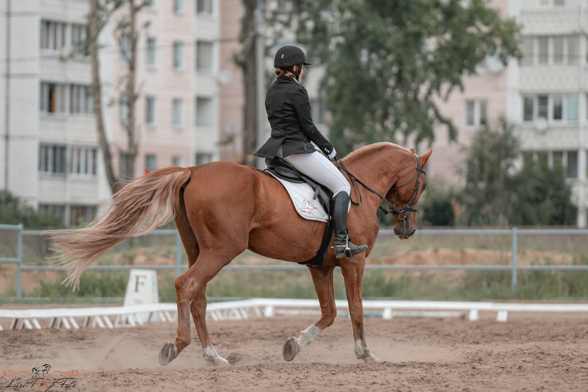 Областные соревнования по выездке. КСЦ им. Н. Серовой Тверь. Конный и фотограф с животными в Твери Топталова Люся