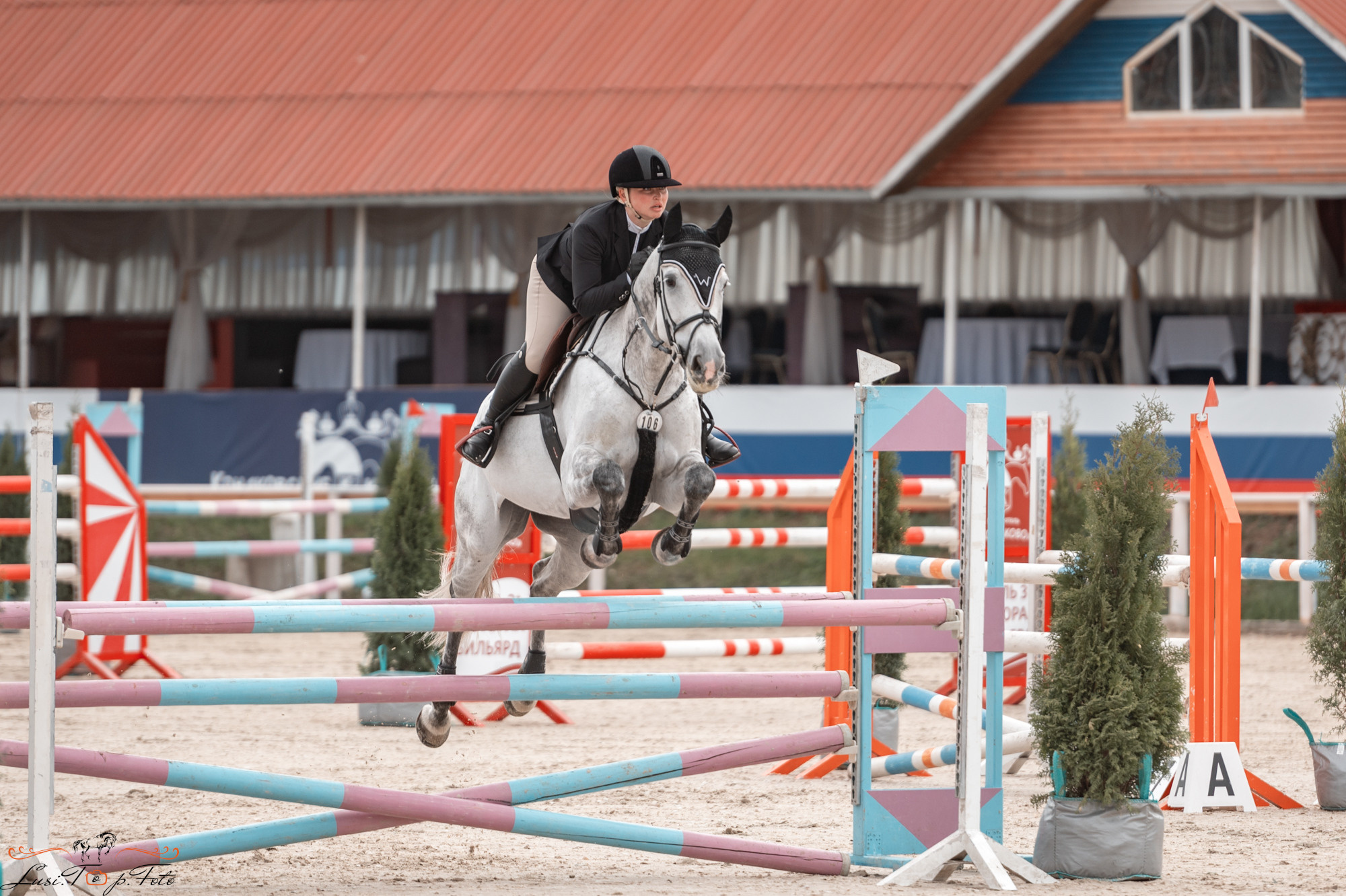 Конаковские Конюшни 3 день. Конный и фотограф с животными в Твери Топталова Люся