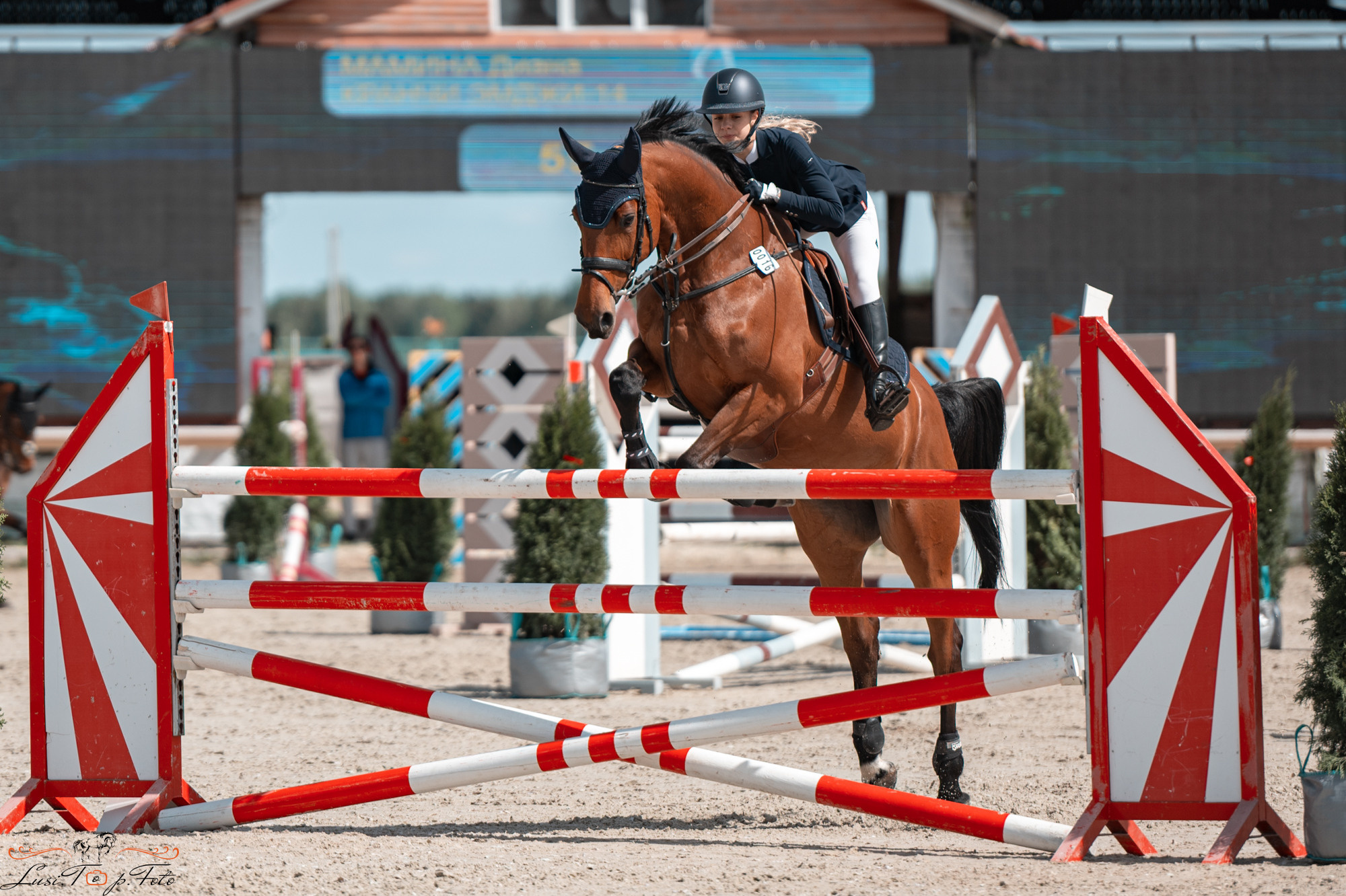 Конаковские Конюшни 2 день. Конный и фотограф с животными в Твери Топталова Люся