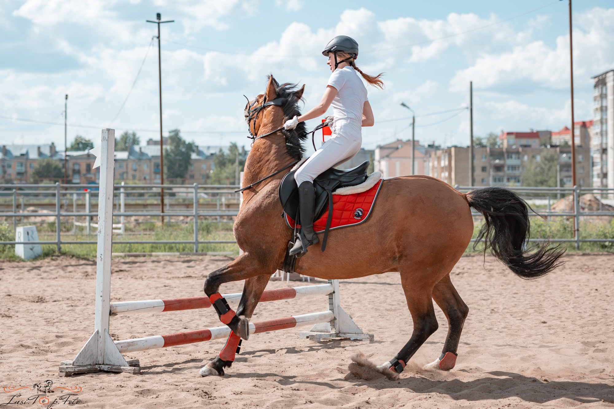 Областные соревнования по конкуру. Тверь. Конный и фотограф с животными в Твери Топталова Люся