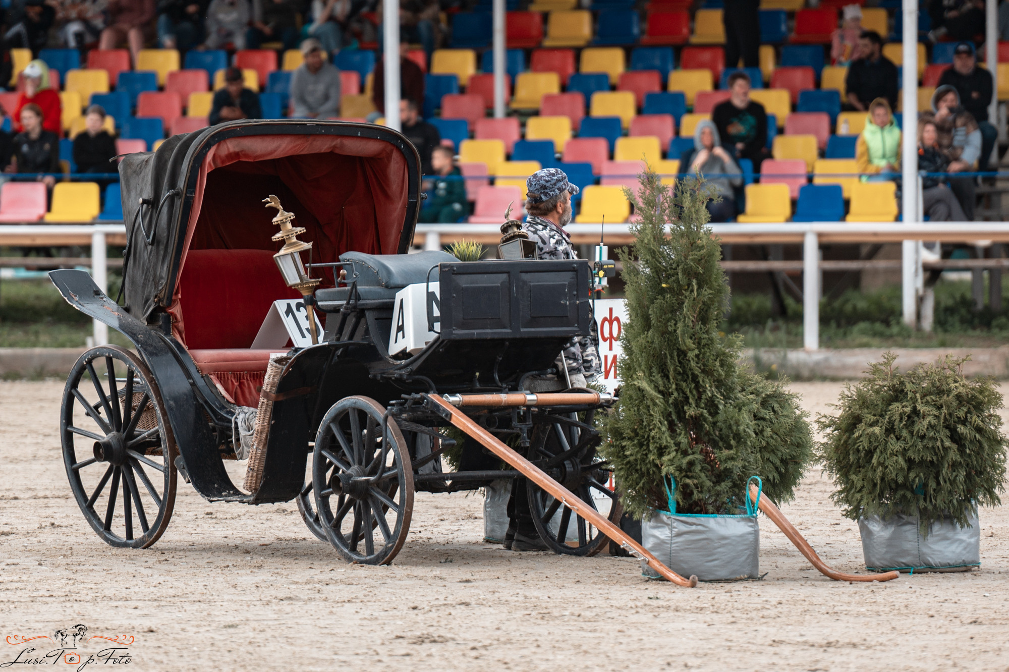 Конаковские Конюшни 4 день. Конный и фотограф с животными в Твери Топталова Люся