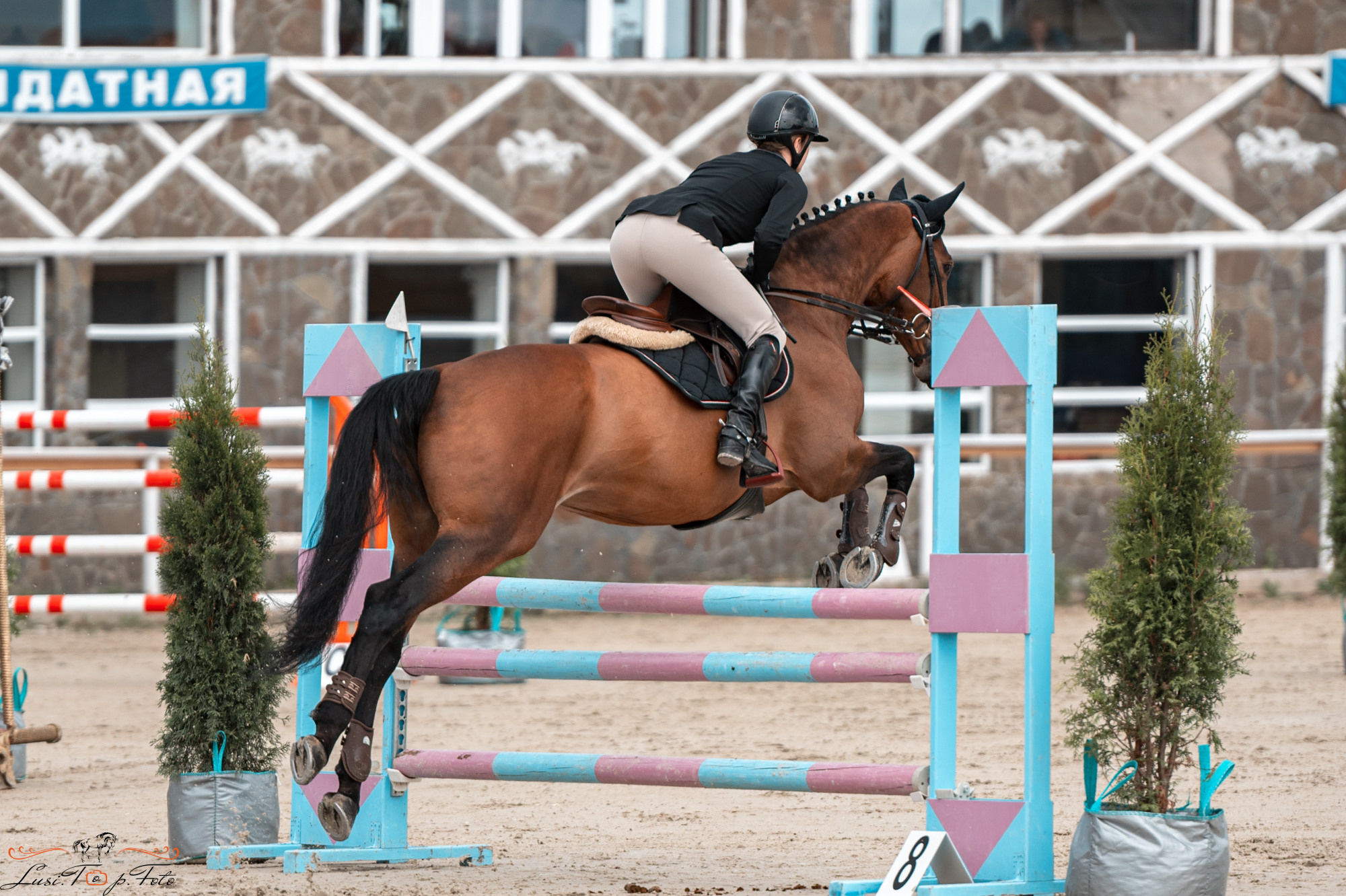 Конаковские Конюшни 4 день. Конный и фотограф с животными в Твери Топталова Люся