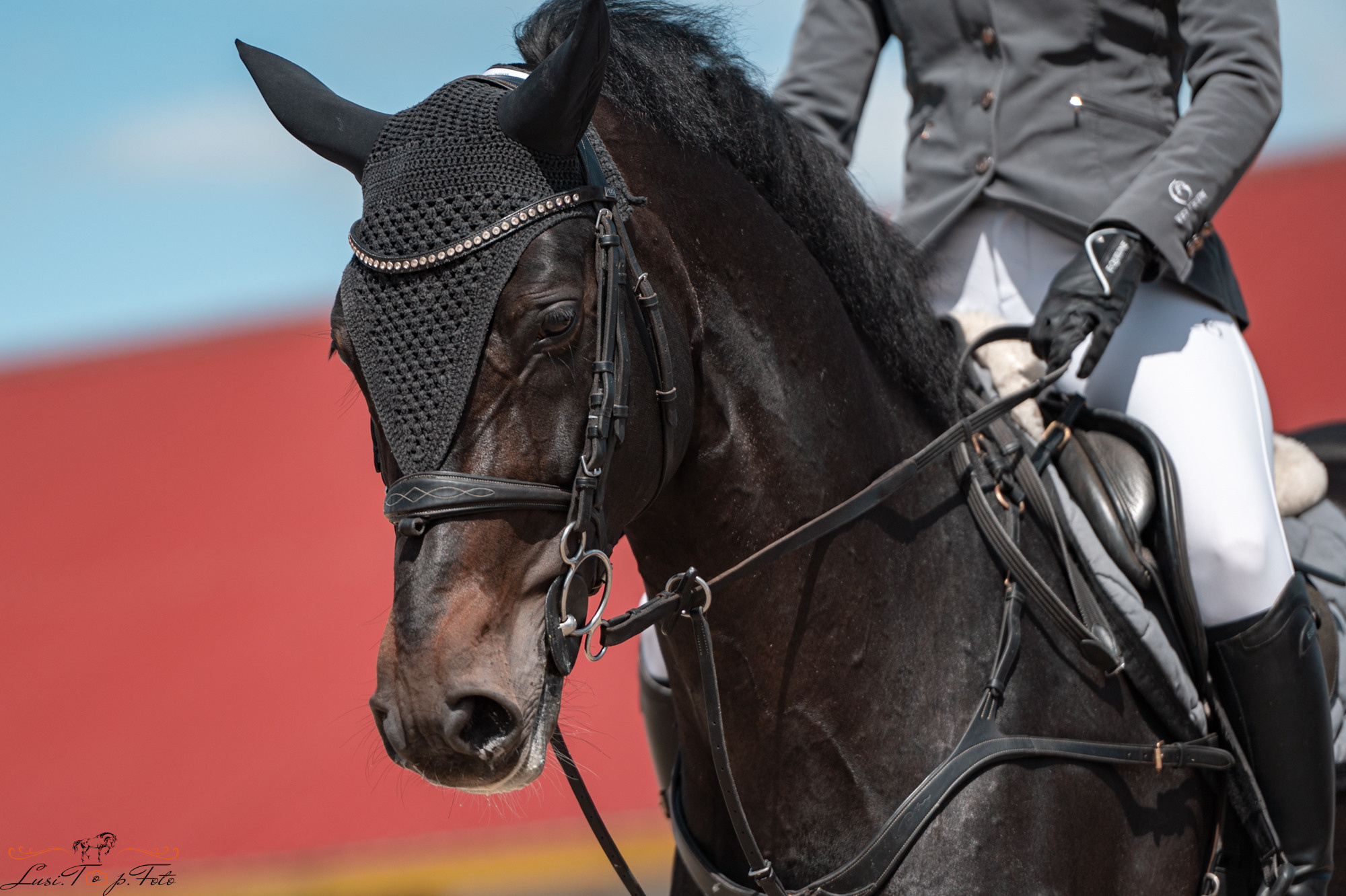 Конаковские Конюшни 2 день. Конный и фотограф с животными в Твери Топталова Люся