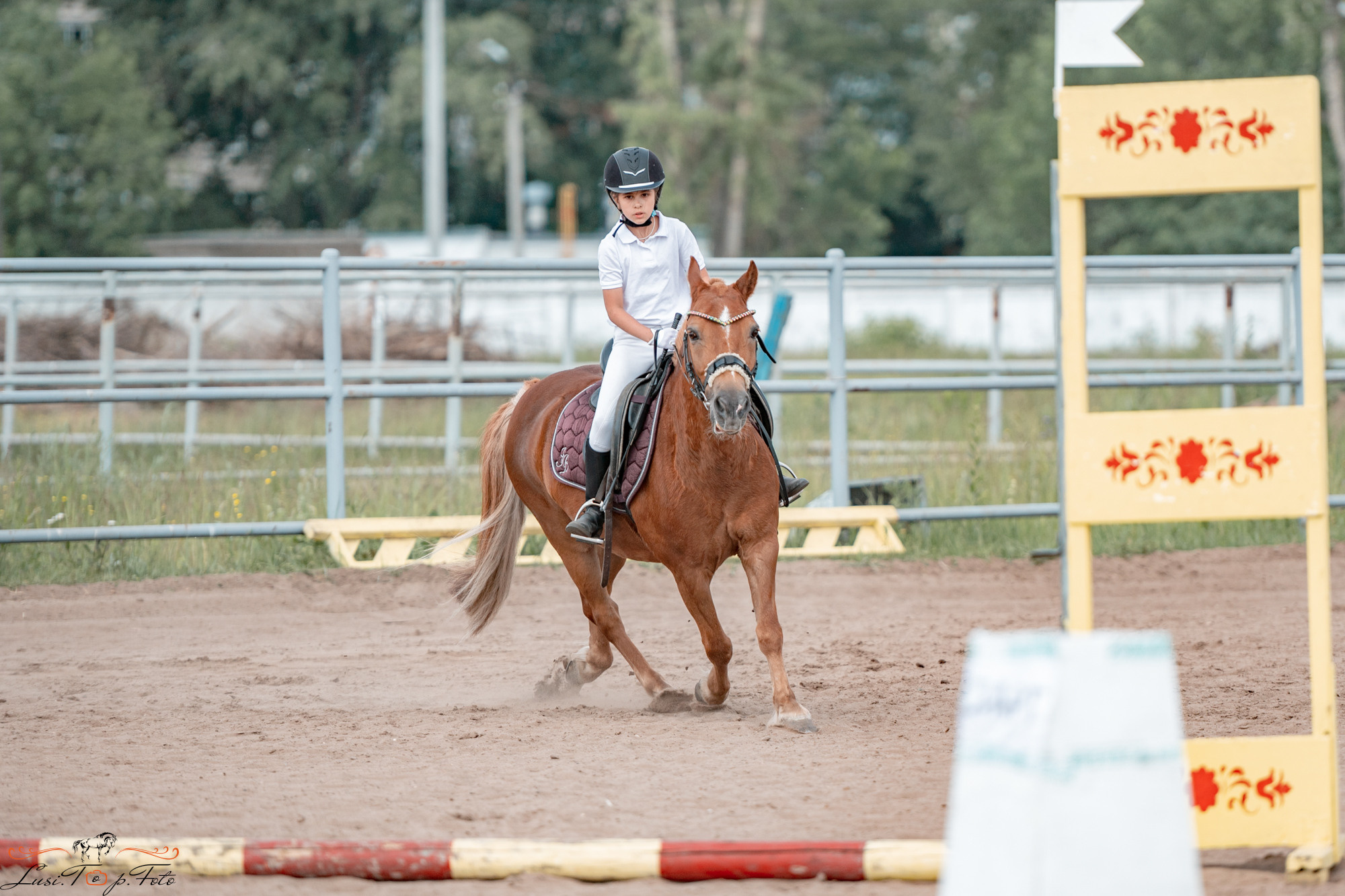 Областные соревнования по конкуру. Тверь. Конный и фотограф с животными в Твери Топталова Люся