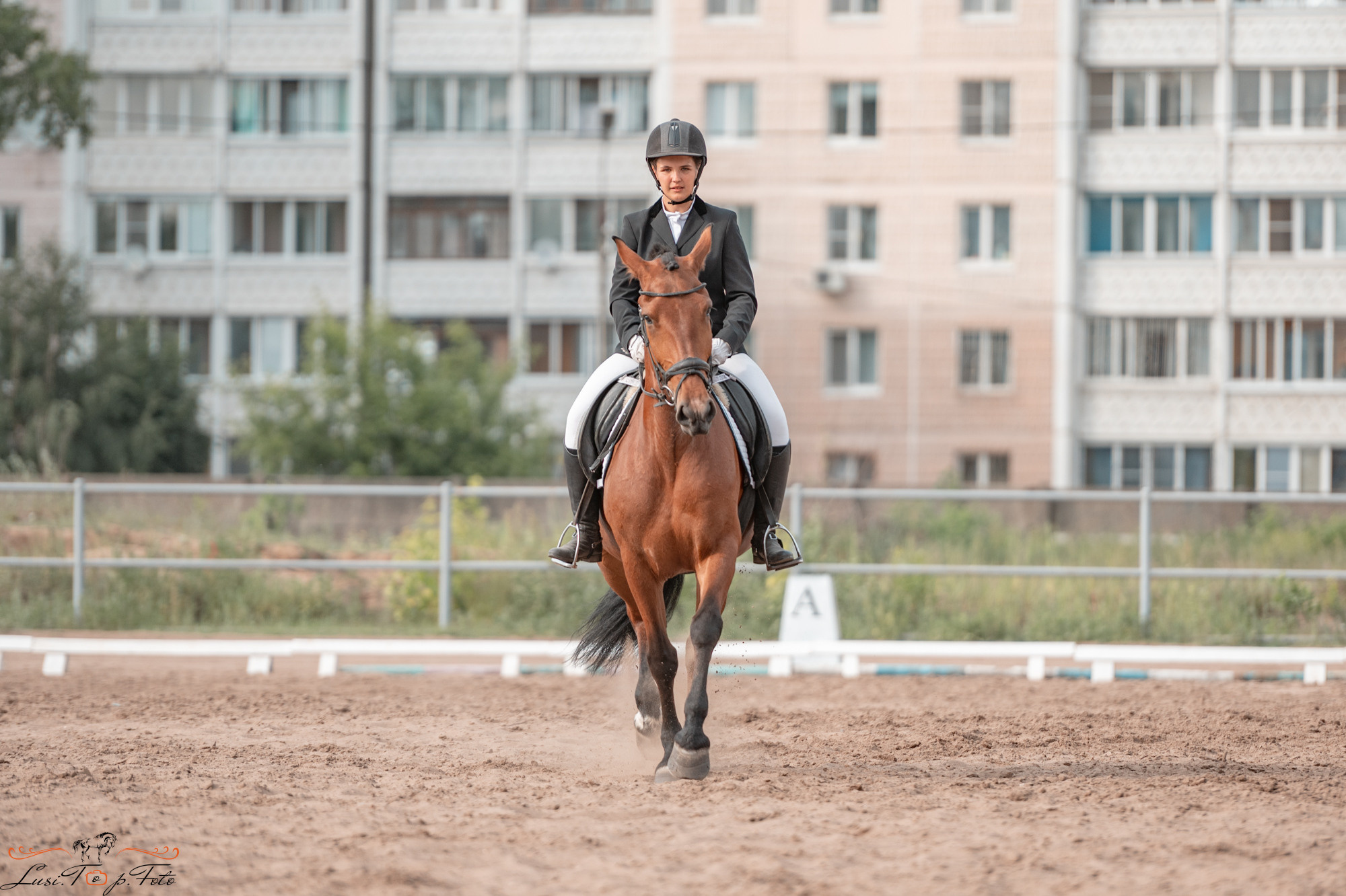 Областные соревнования по выездке. КСЦ им. Н. Серовой Тверь. Конный и фотограф с животными в Твери Топталова Люся