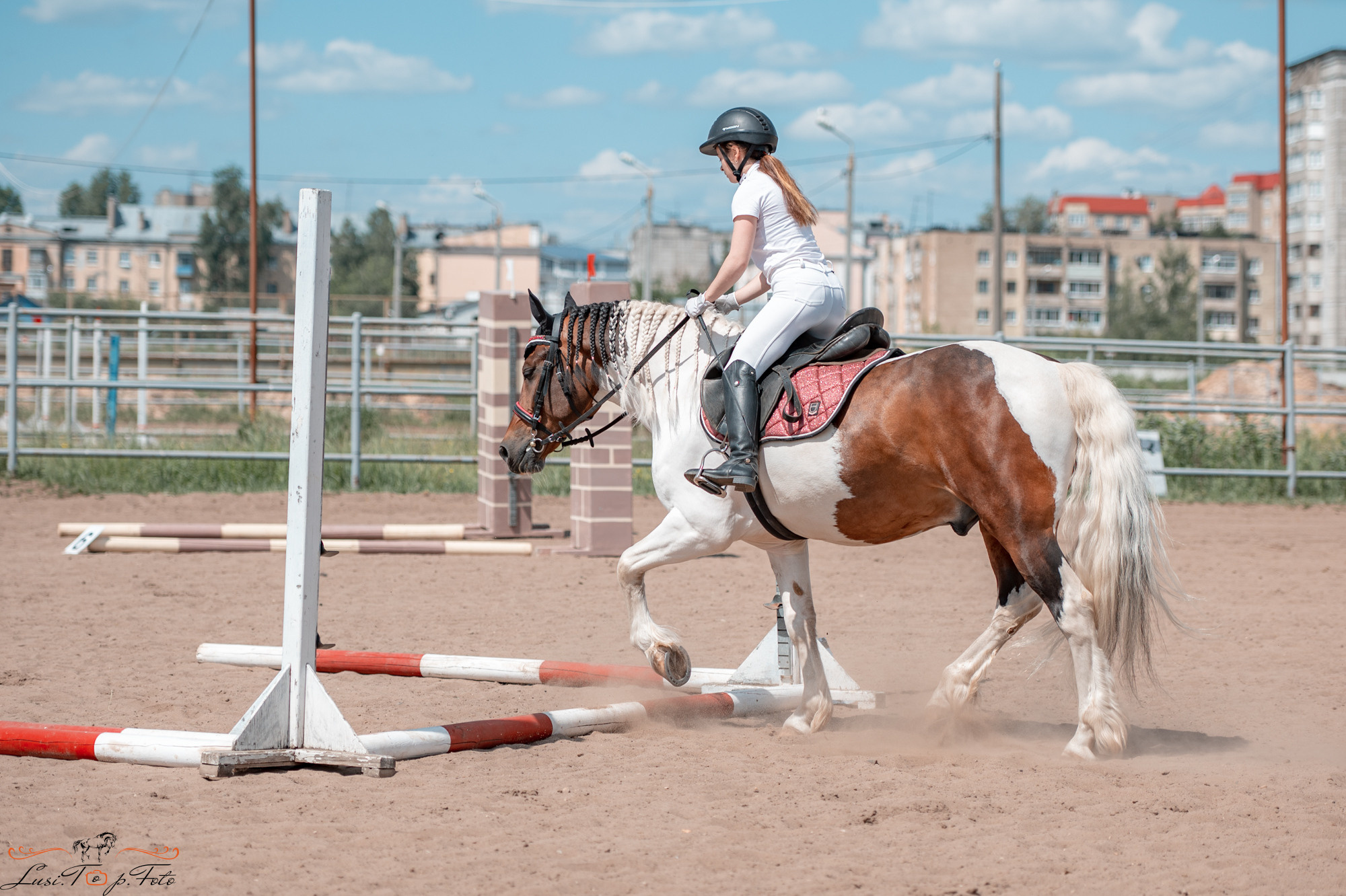 Областные соревнования по конкуру. Тверь. Конный и фотограф с животными в Твери Топталова Люся