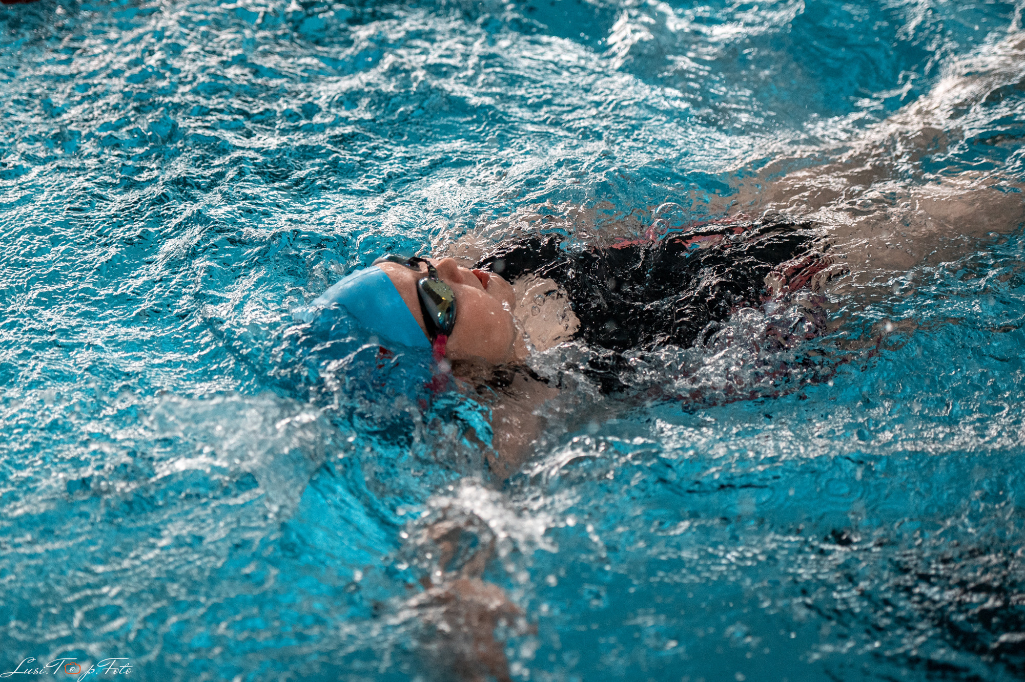 Соревнования по плаванию «Весенние веселые старты». Конный и фотограф с животными в Твери Топталова Люся