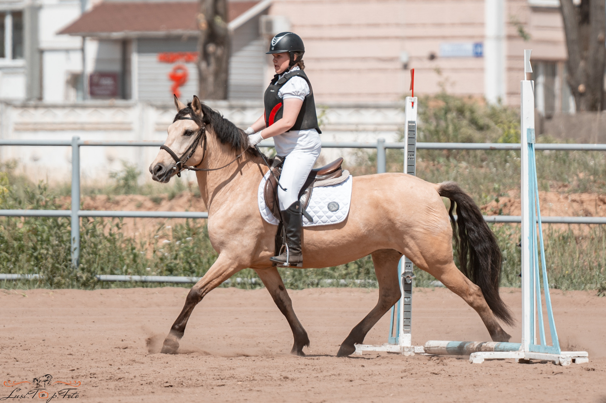 Областные соревнования по конкуру. Тверь. Конный и фотограф с животными в Твери Топталова Люся