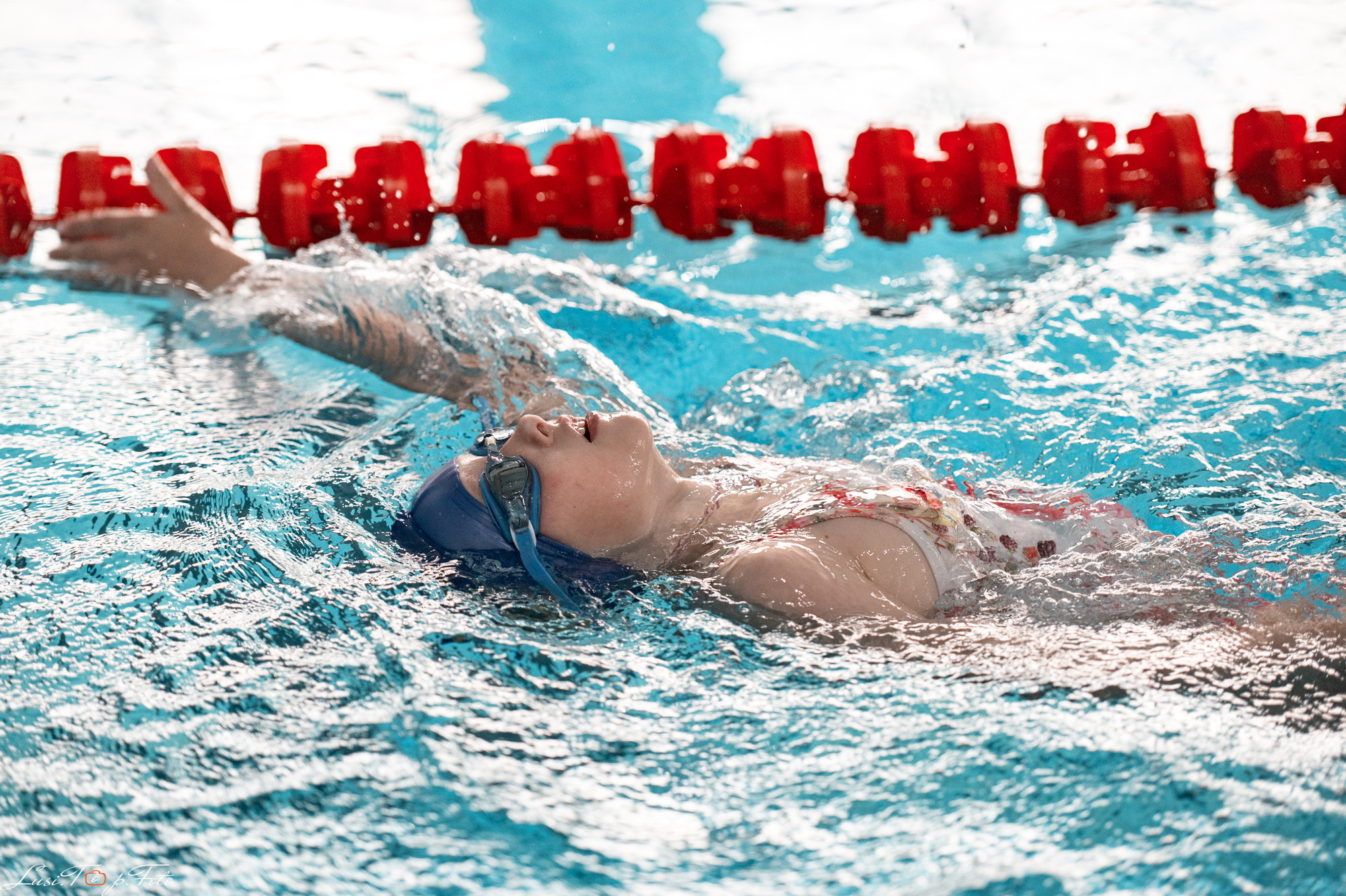 Соревнования по плаванию «Весенние веселые старты». Конный и фотограф с животными в Твери Топталова Люся