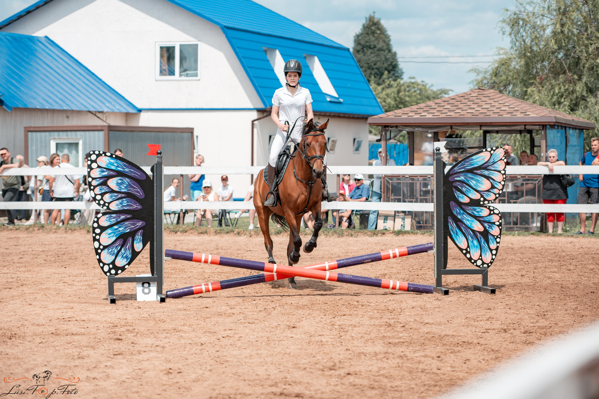 Конкур в КК «Резвая». Конный и фотограф с животными в Твери Топталова Люся