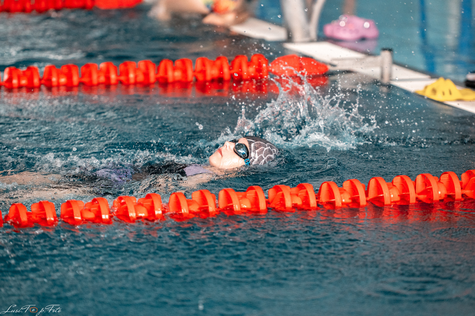 Соревнования по плаванию «Весенние веселые старты». Конный и фотограф с животными в Твери Топталова Люся