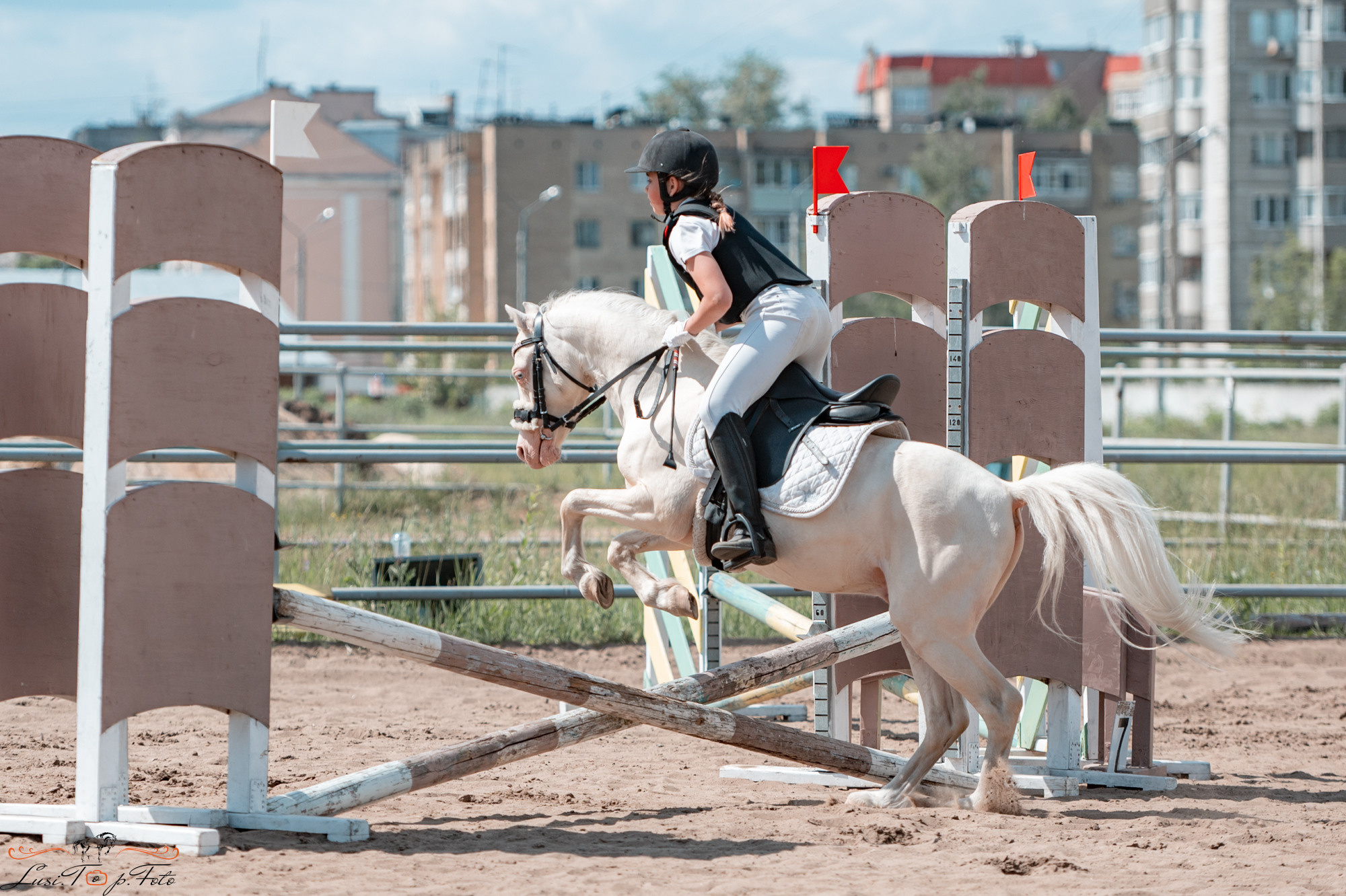 Областные соревнования по конкуру. Тверь. Конный и фотограф с животными в Твери Топталова Люся