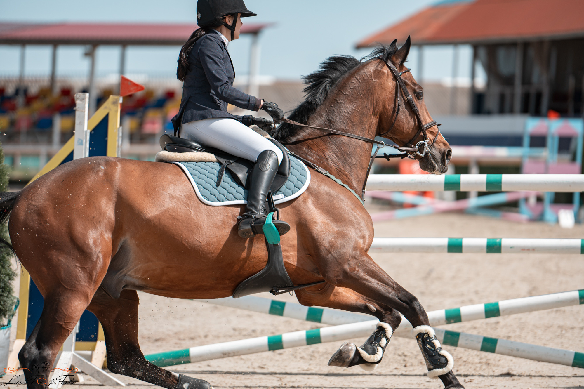 Конаковские Конюшни 2 день. Конный и фотограф с животными в Твери Топталова Люся
