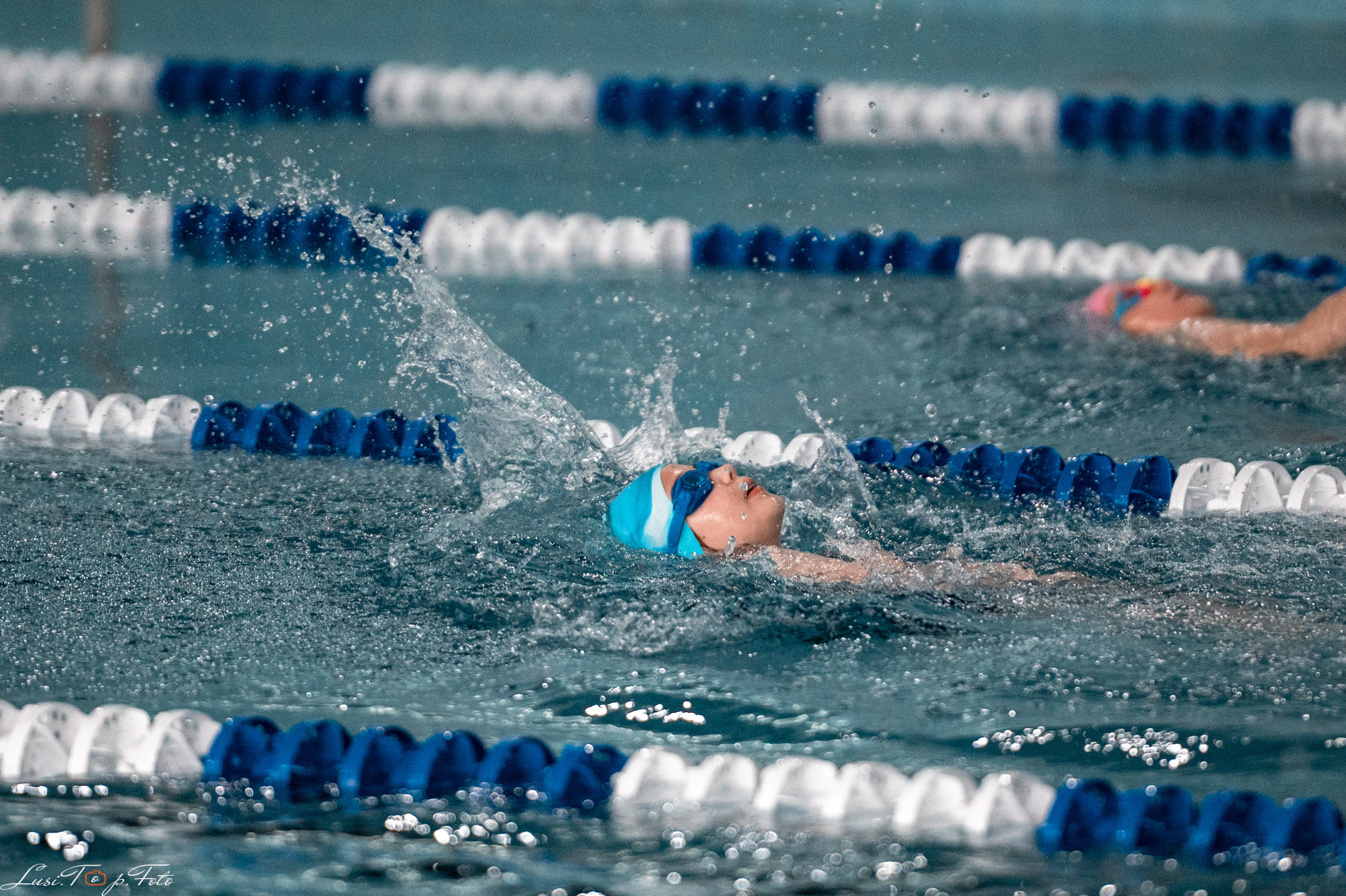 Соревнования по плаванию «Весенние веселые старты». Конный и фотограф с животными в Твери Топталова Люся