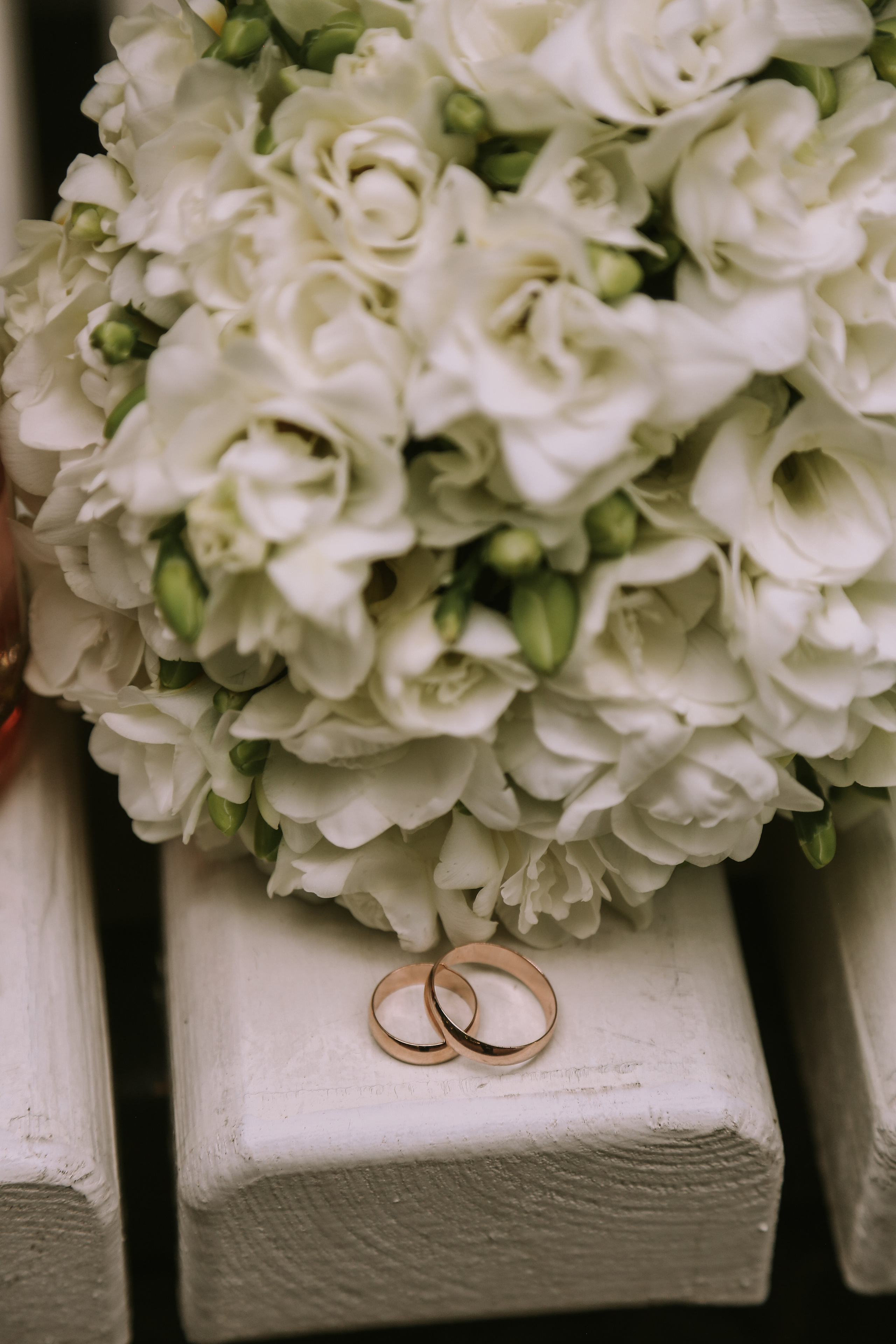 Прогулка Рената и Сергей. Фотограф Антон Чупринин