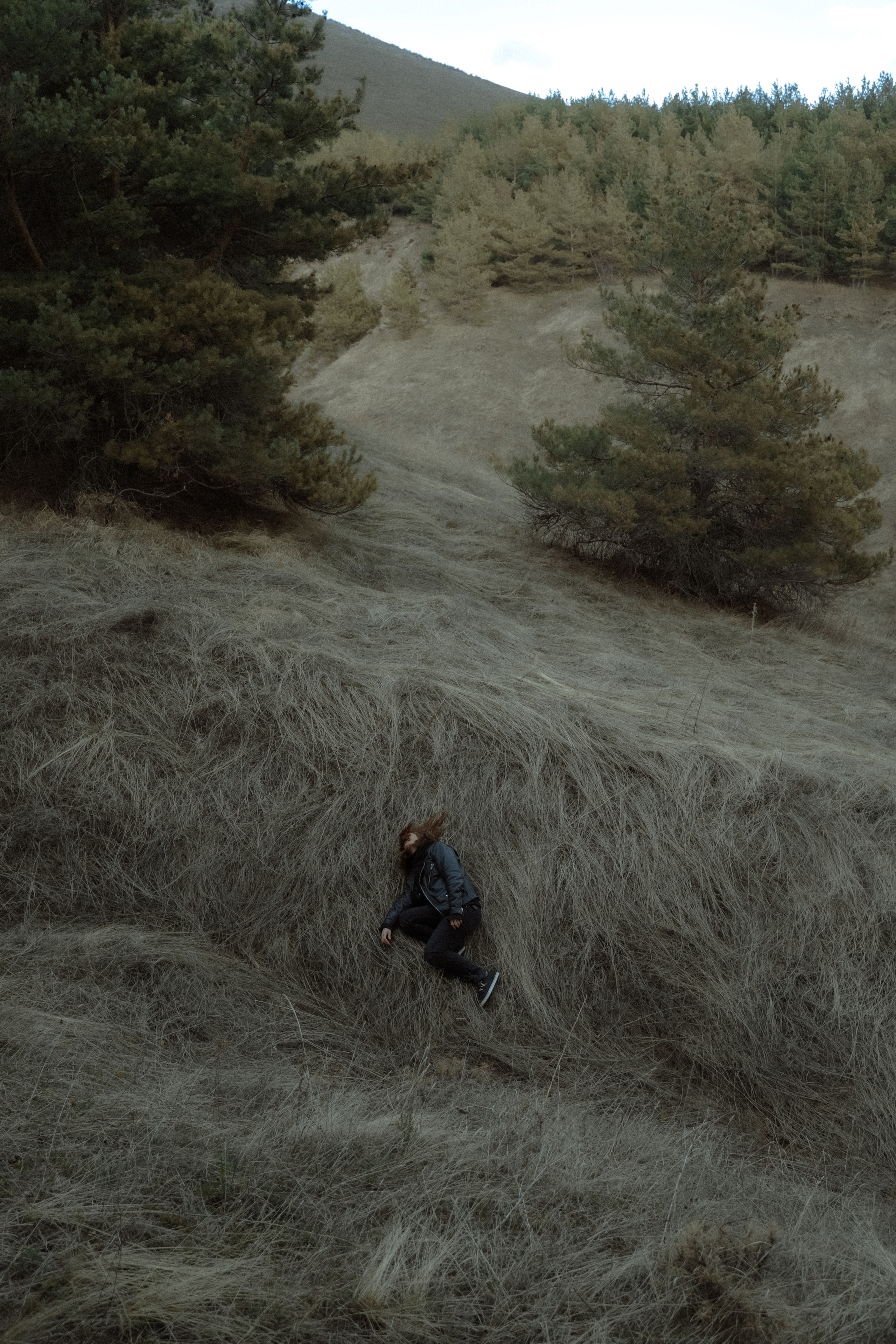 '. Алиса Аницкая