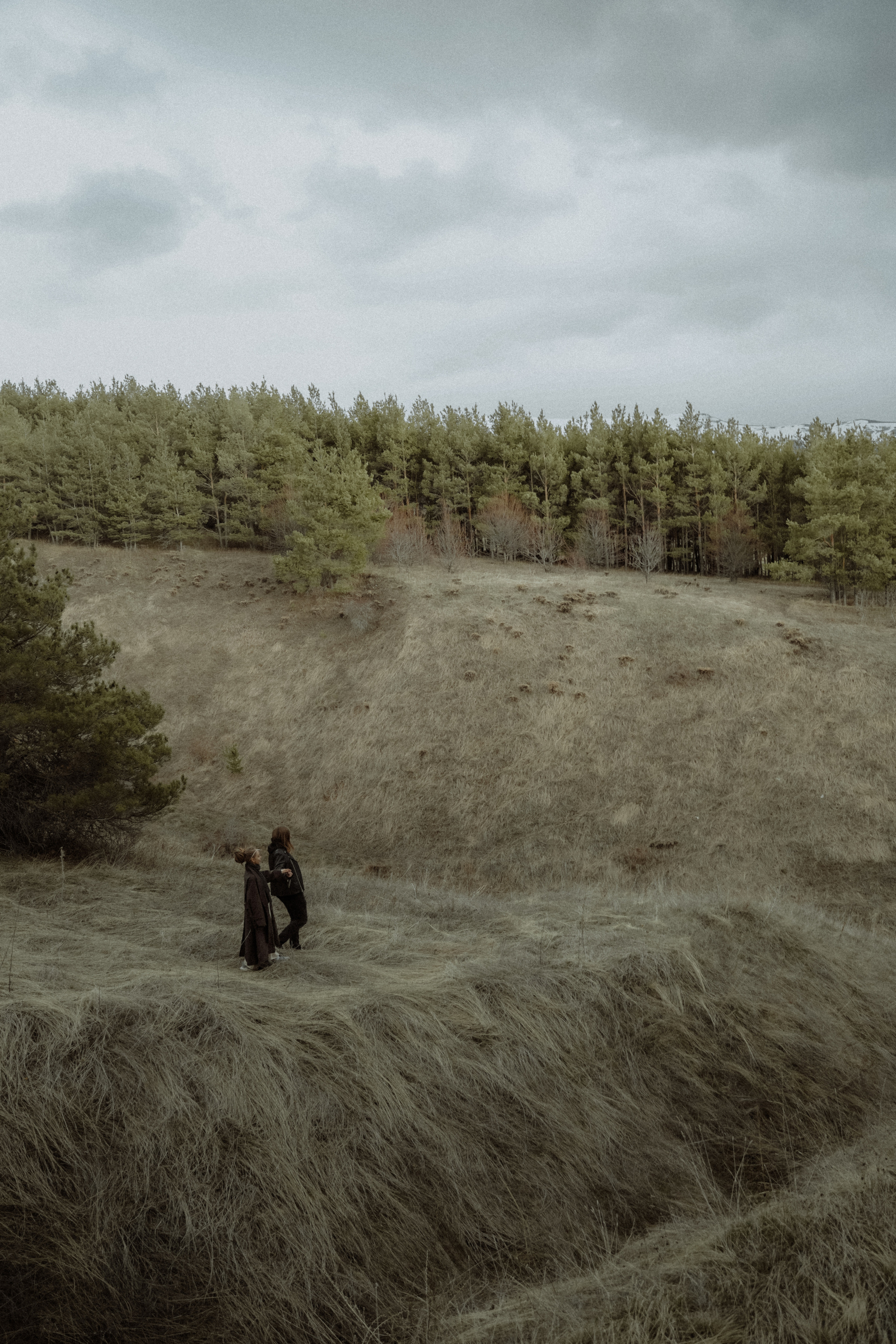 '. Алиса Аницкая