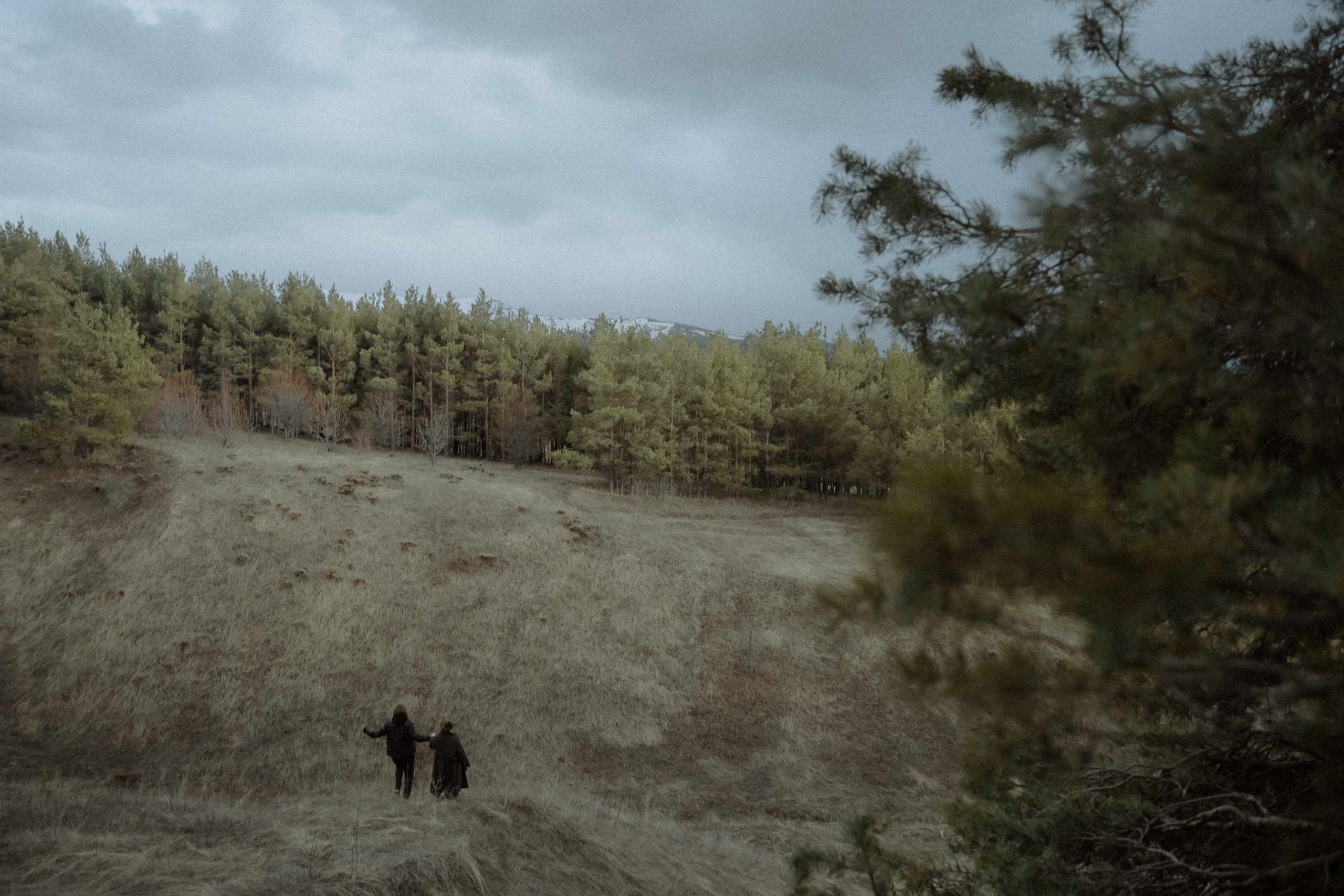 '. Алиса Аницкая