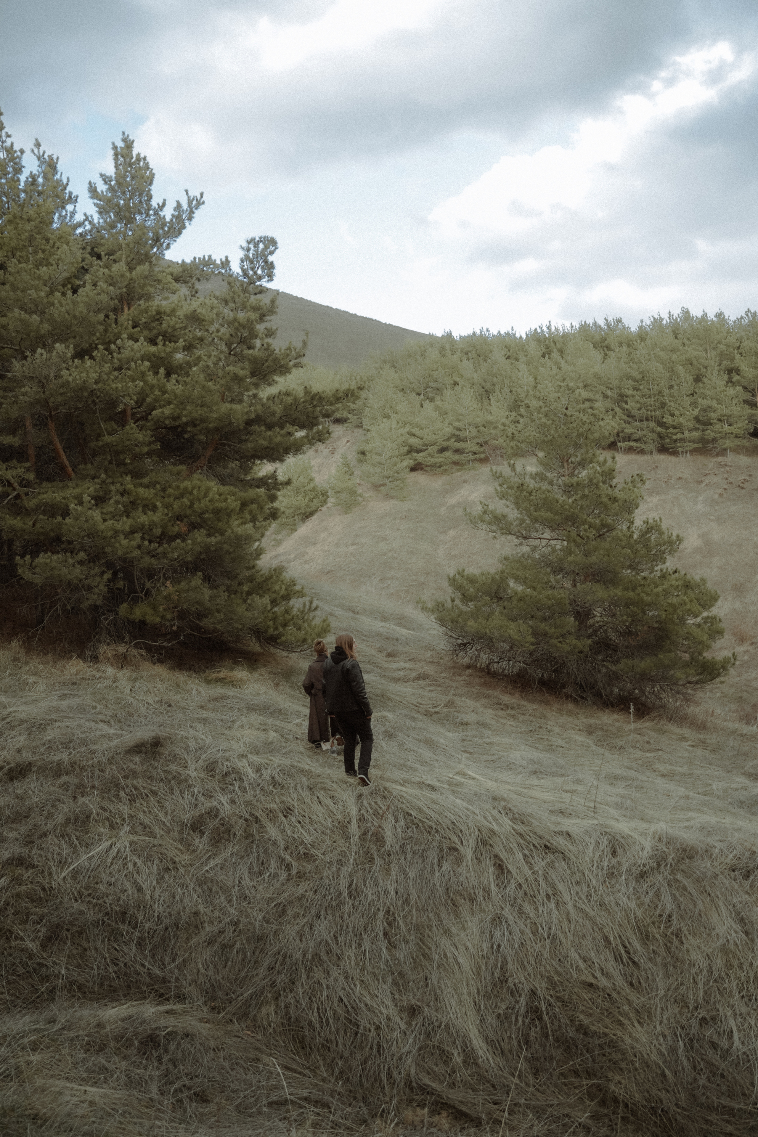 '. Алиса Аницкая