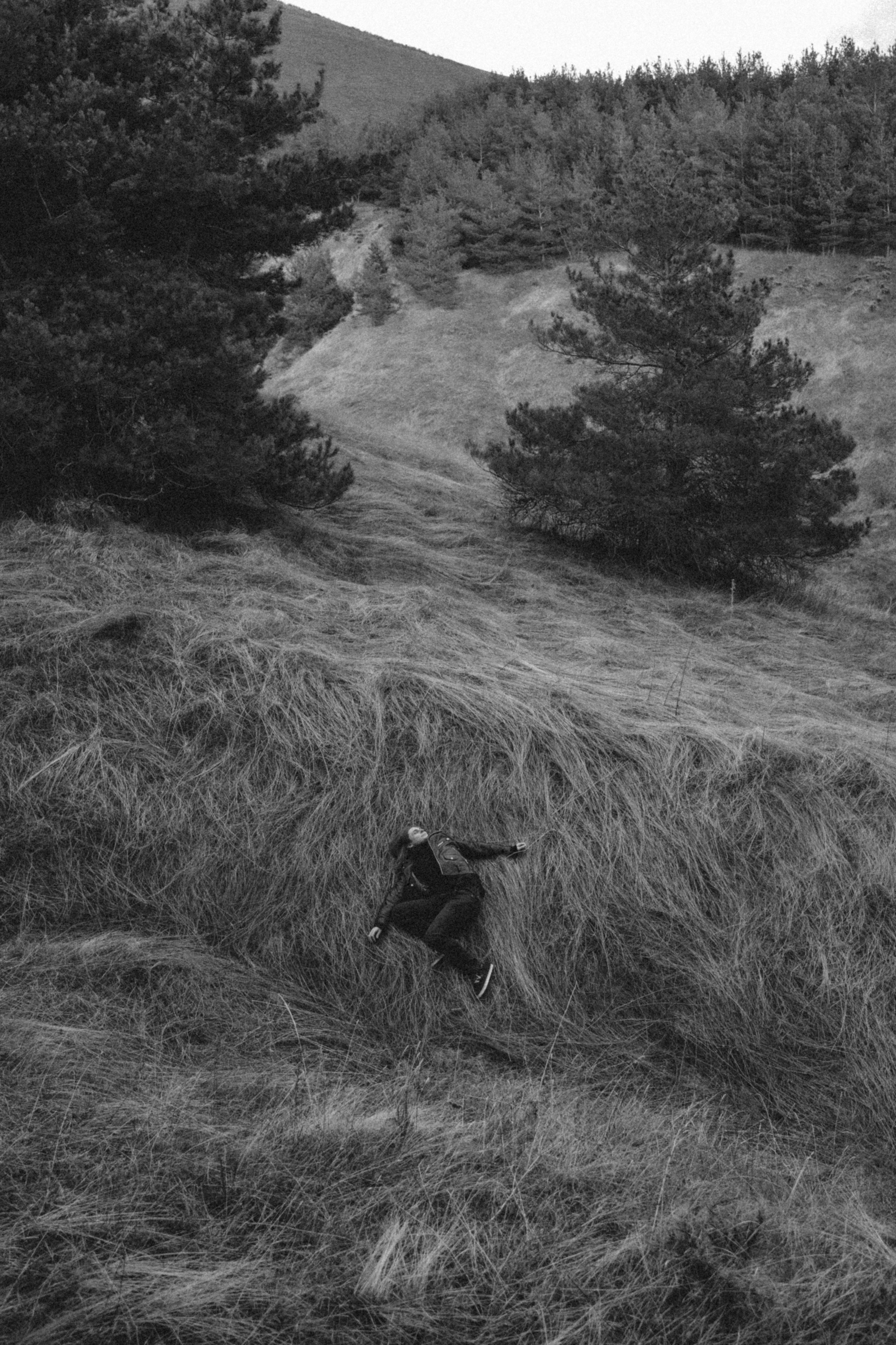 '. Алиса Аницкая