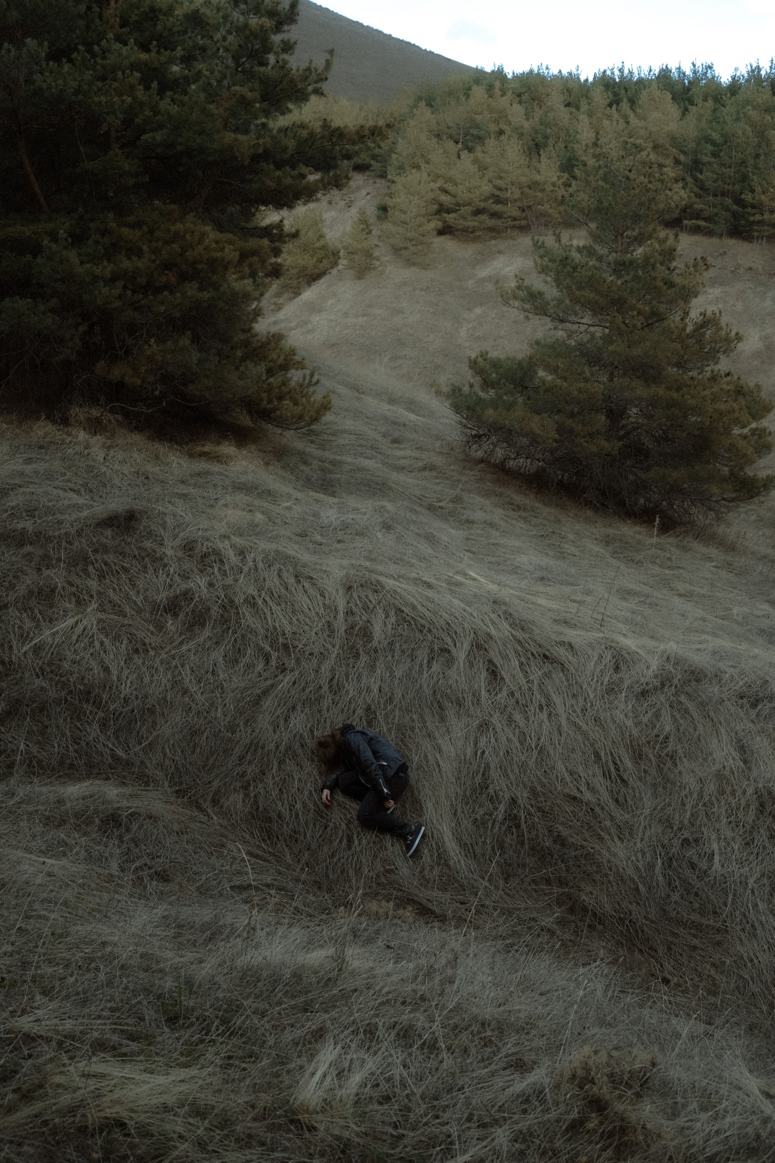 '. Алиса Аницкая