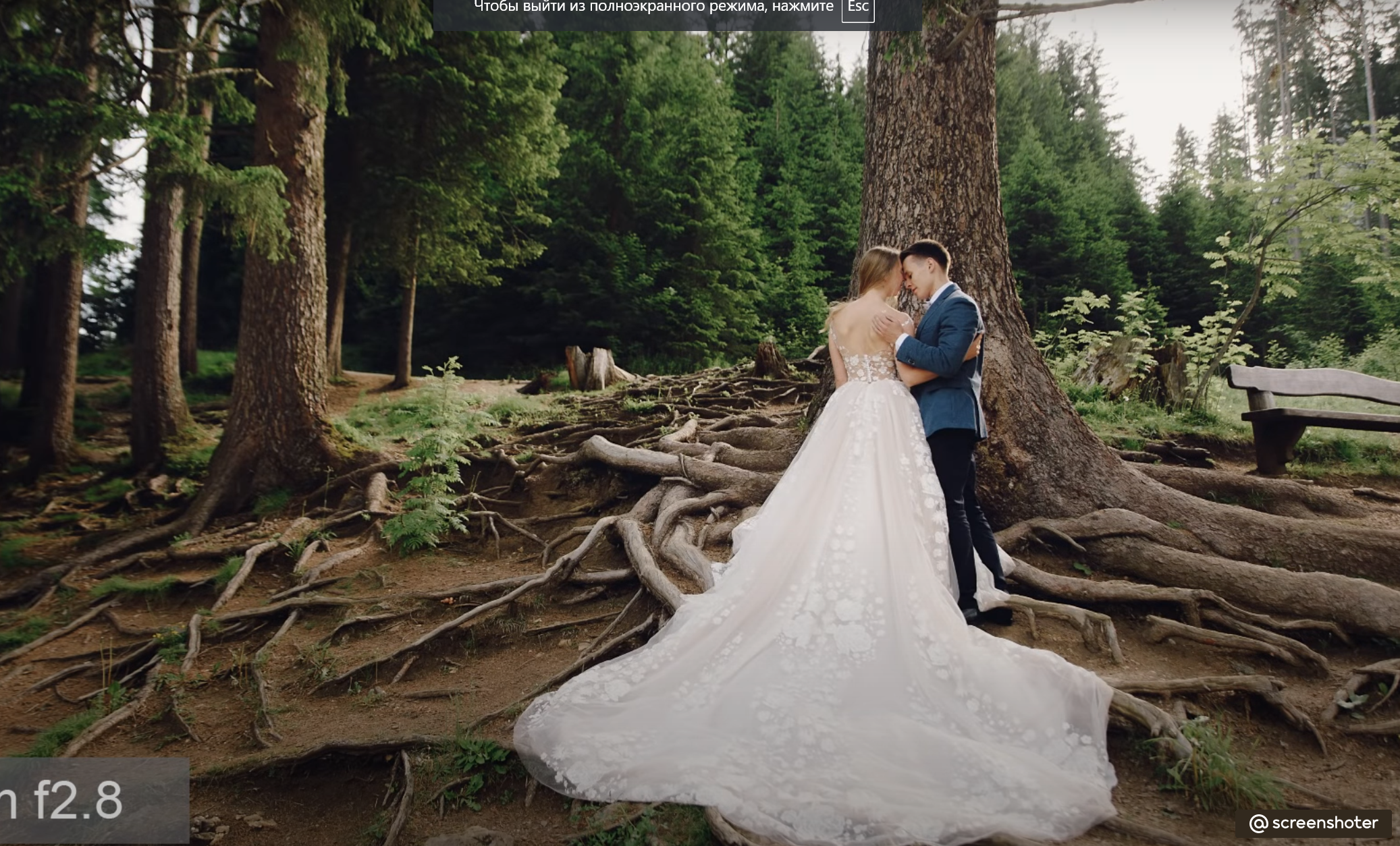 Референсы свадебные. Фотограф, видеограф Пятигорск, Ставрополь, Ессентуки, Petlyakovs_photo