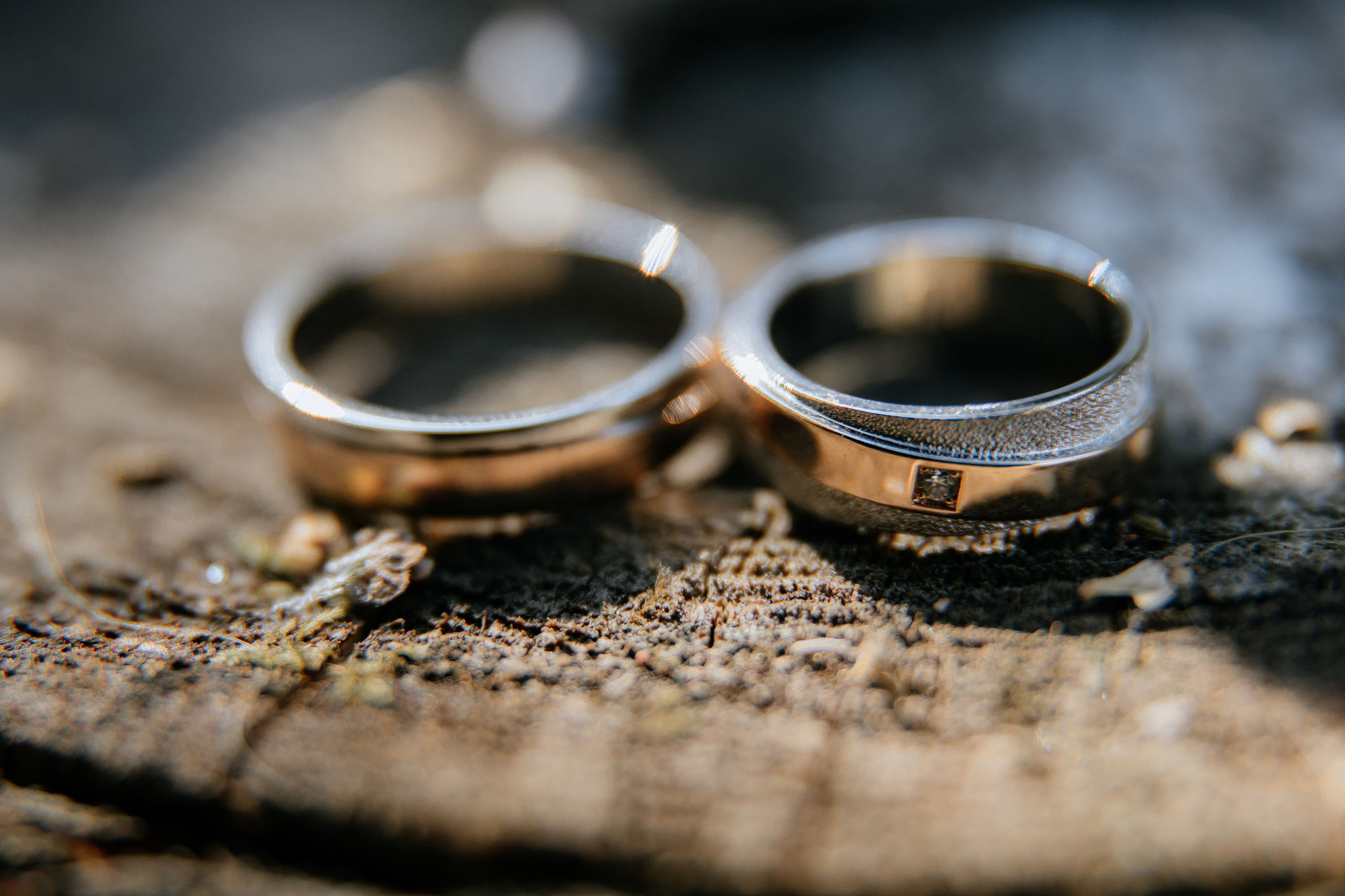 Ярослав и Аня