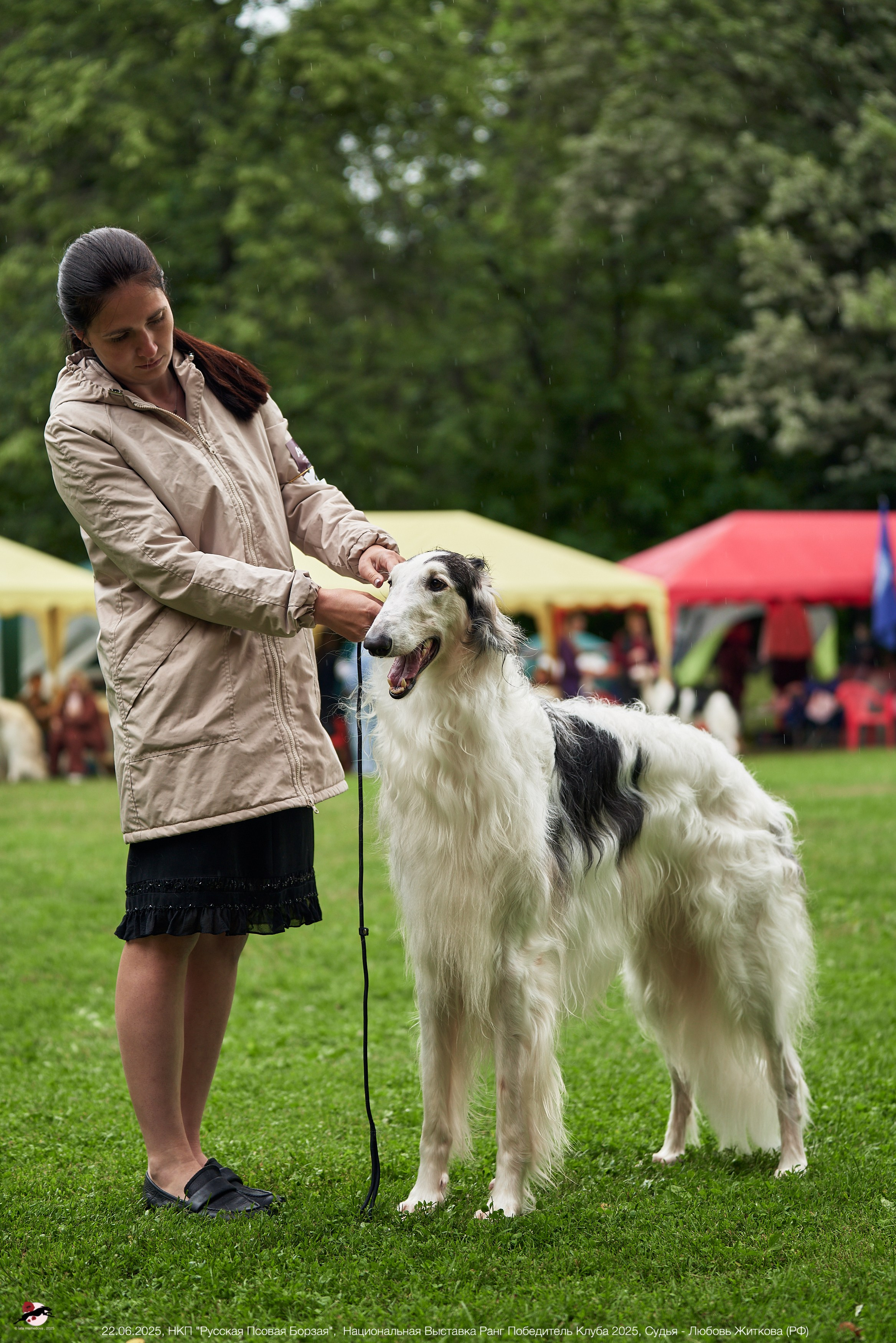 22.06.2025 | Национальная Выставка НКП "Русская Псовая Борзая"