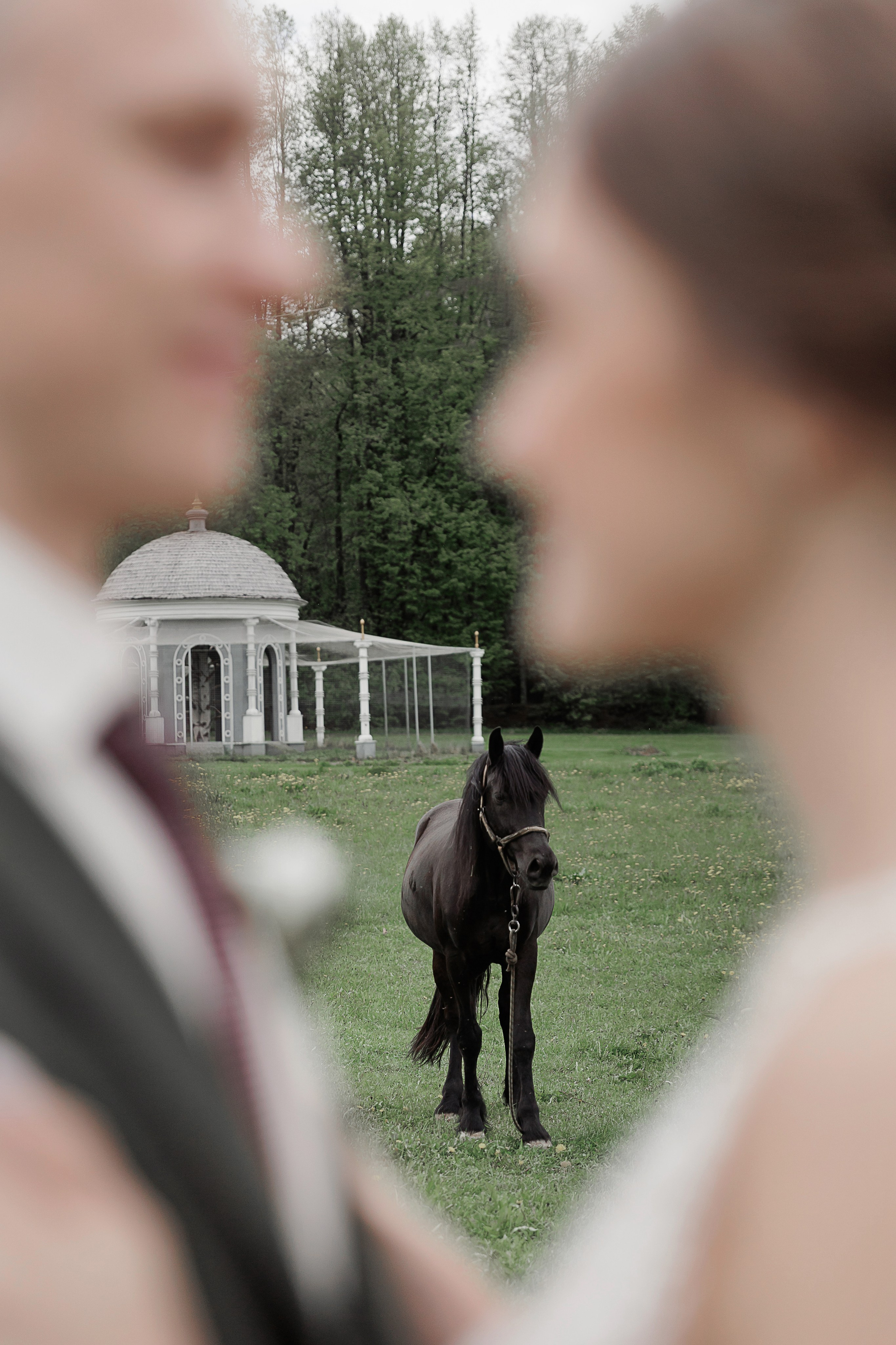 Фотограф на свадьбу в Твери и Тверской области. Свадебный и семейный фотограф в Твери и Тверской области