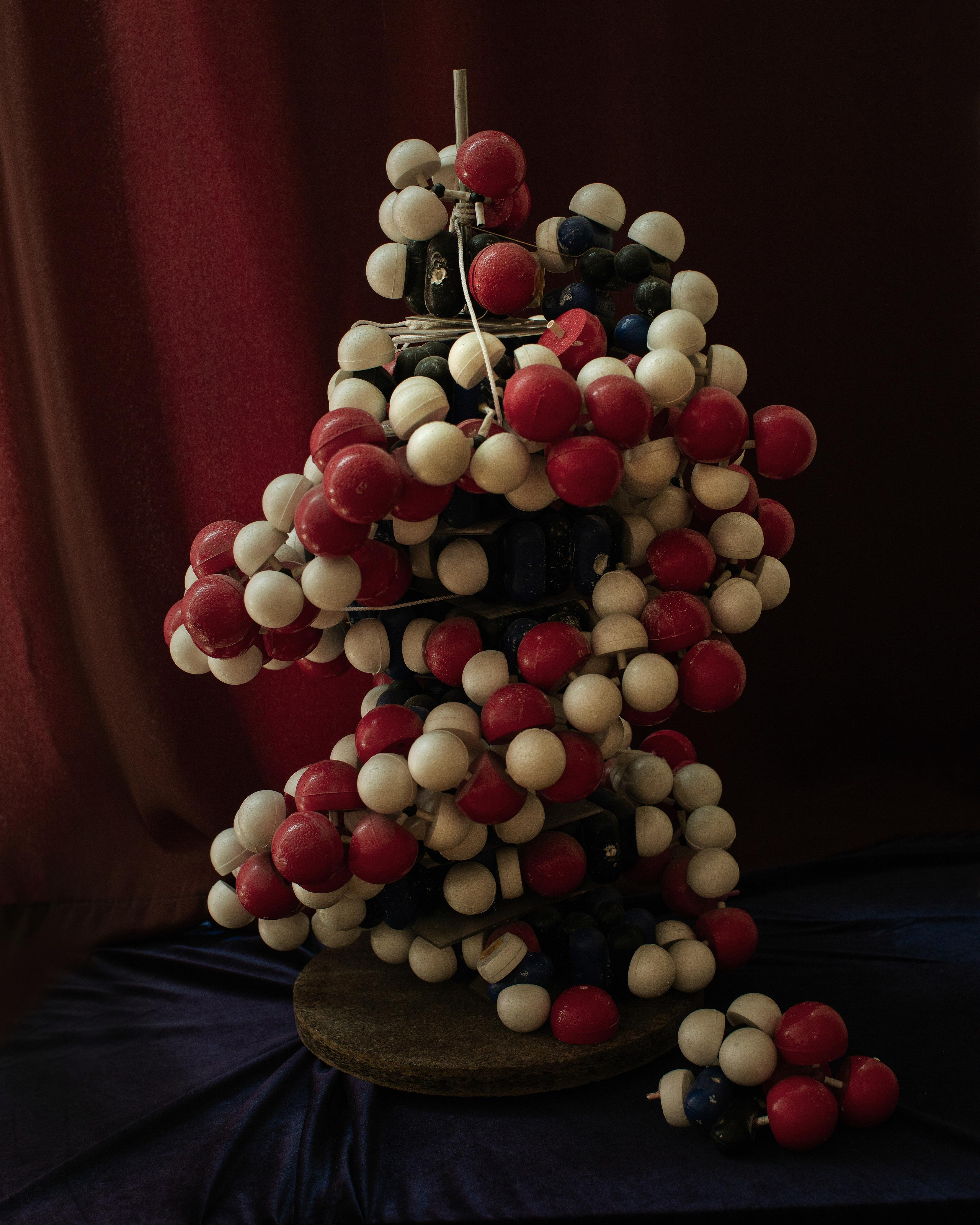 NII. Anastasia Tsayder