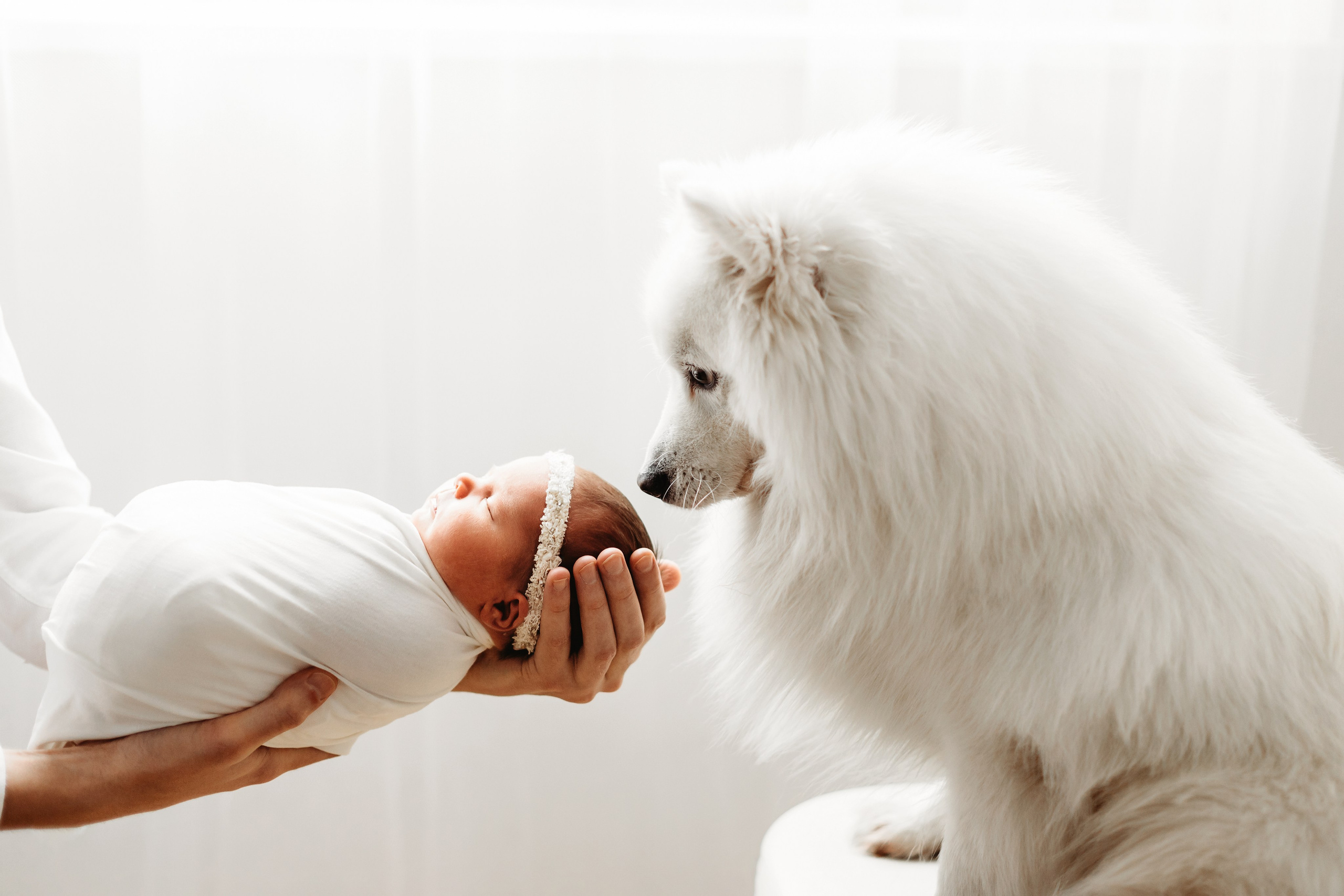 Фотограф Новорожденных в Москве Илона Шубина