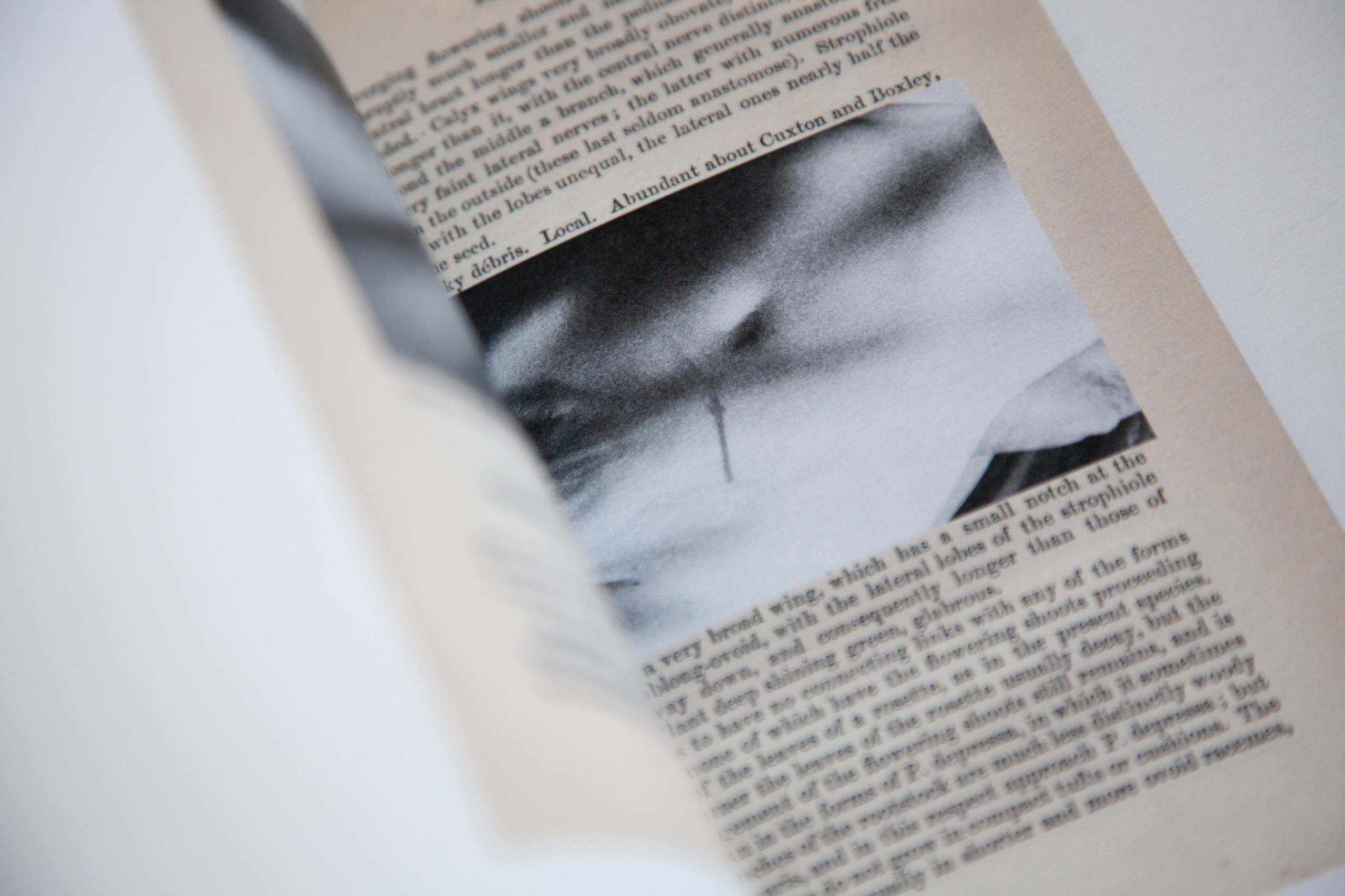 Книга против времени. Private image