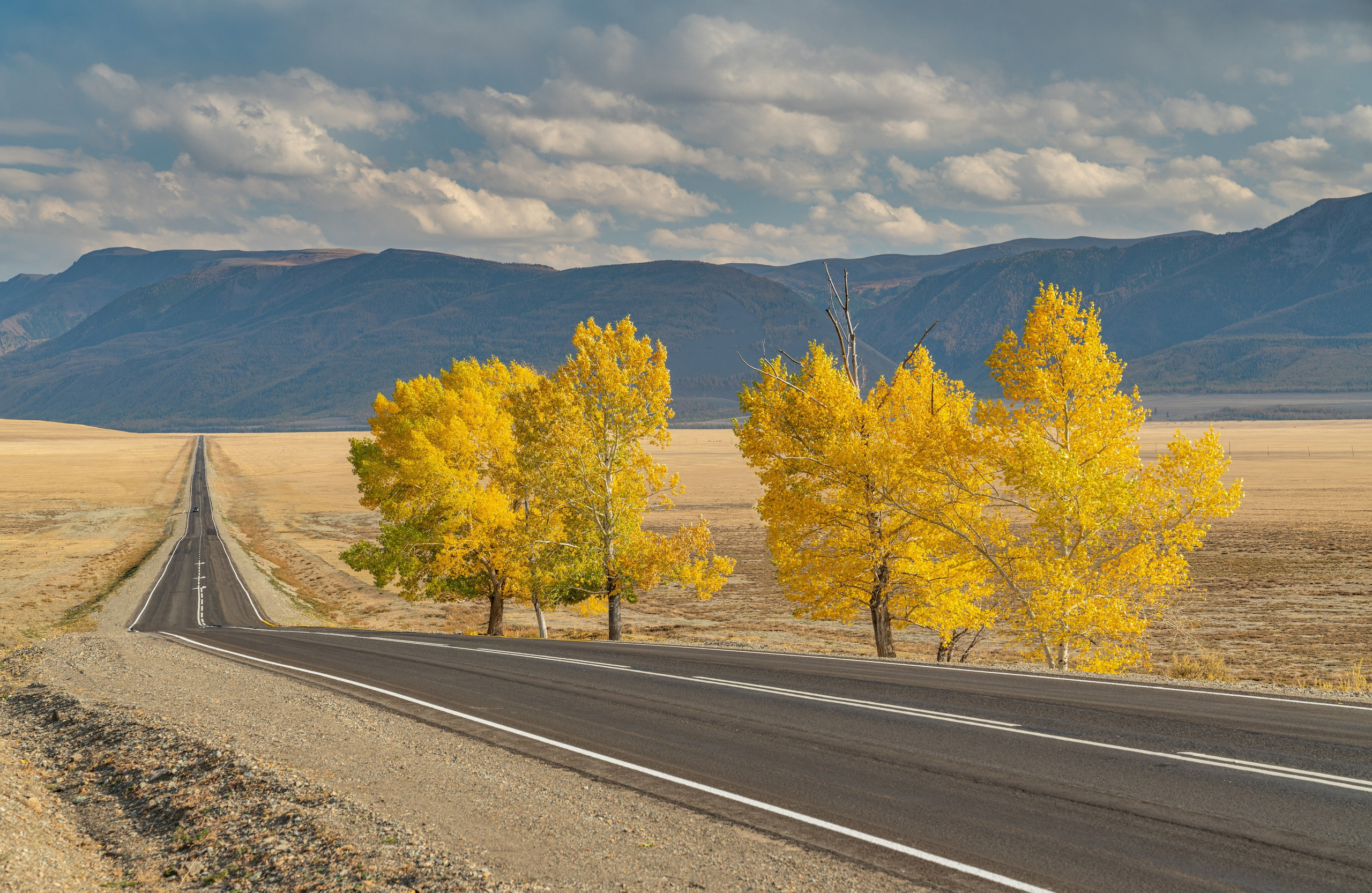 Творчество. Константин Дем | Фотограф