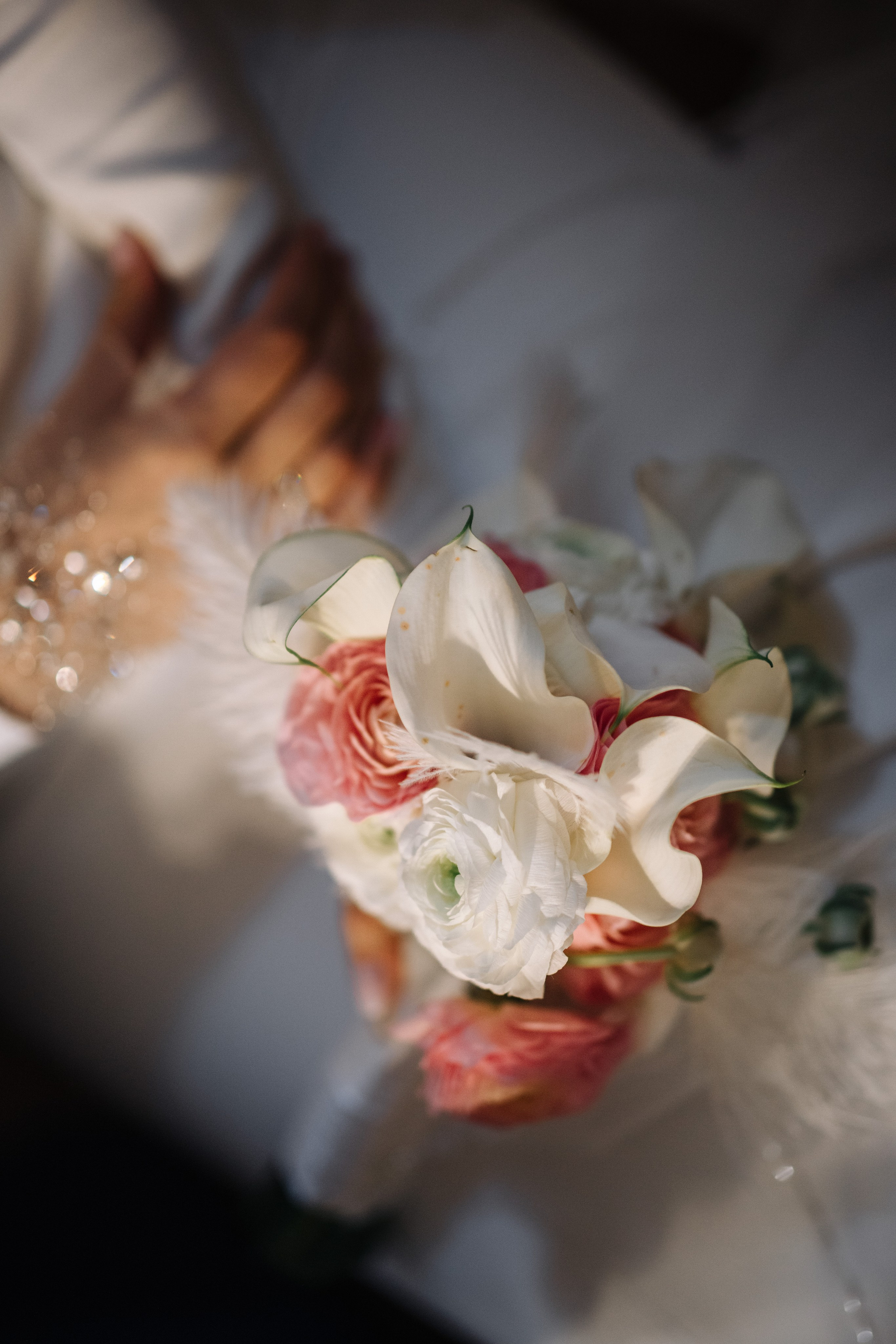 День рождения Семьи Антония и Анны. Фотограф — Евгений Свистков