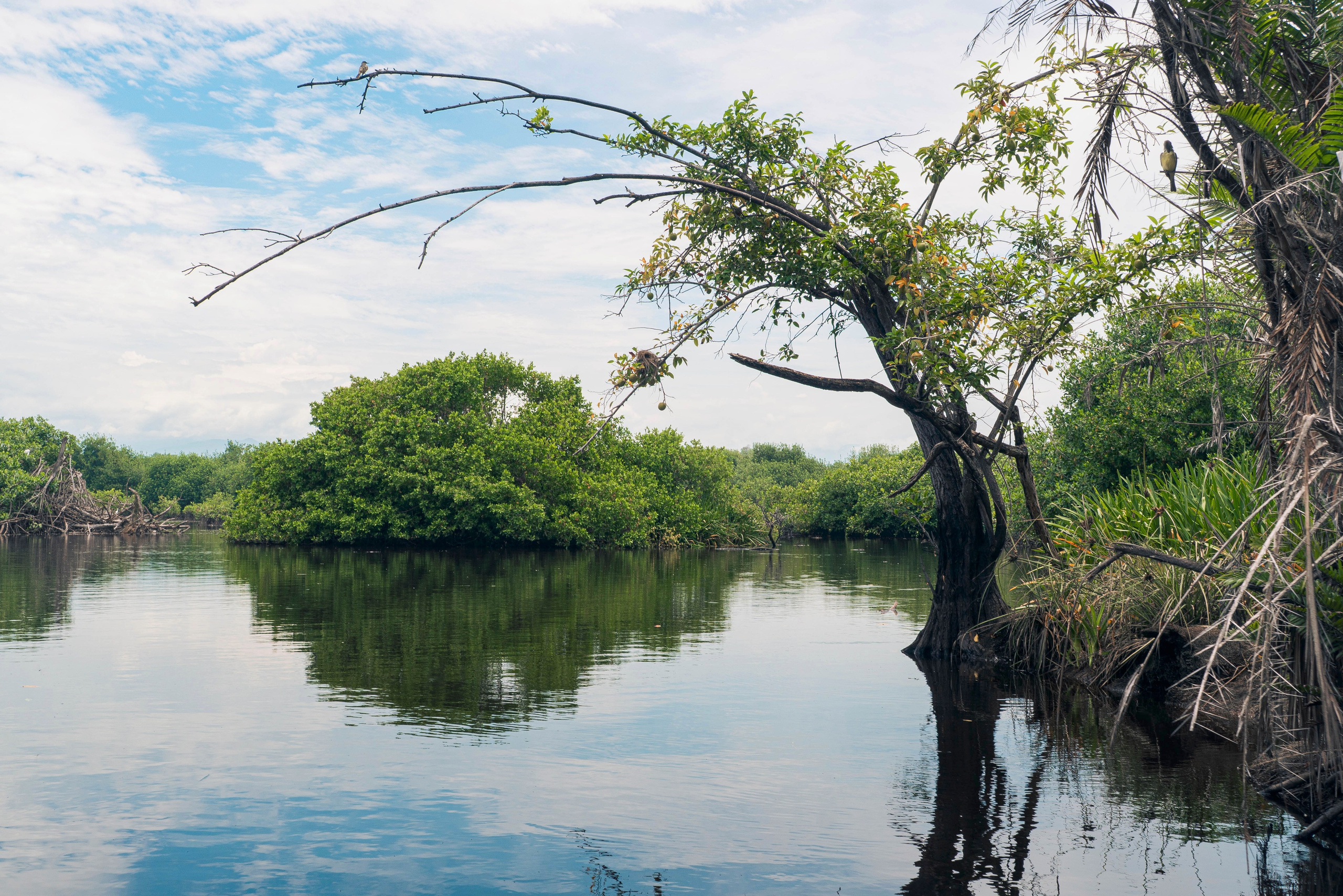 Crocos’ Paradise. CDMX Photography | Alex Klenin| Portrait & Event Photographer