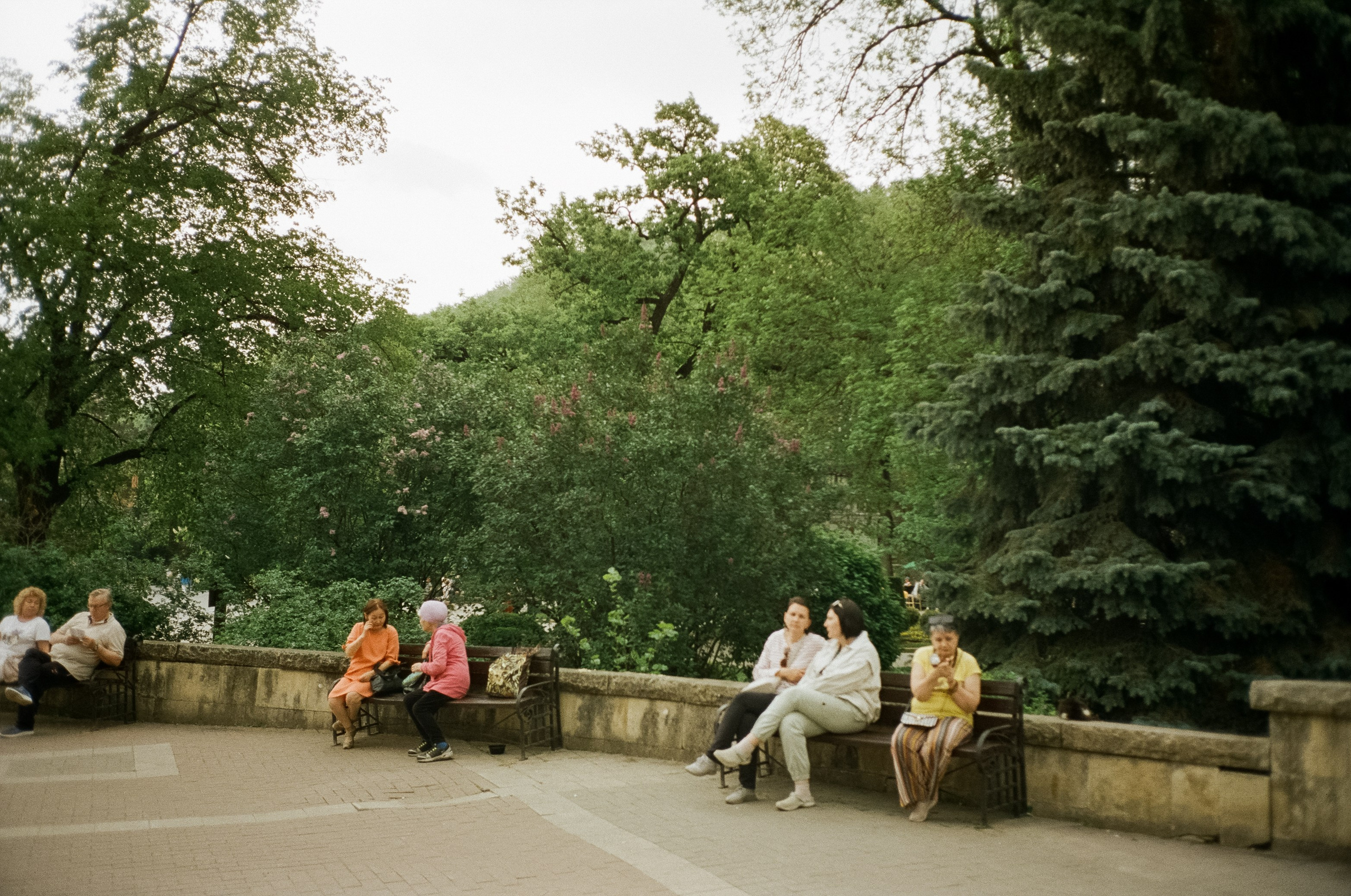 Прогулка по Курортному проспекту и Чебурашка. Кисловодск. Фотограф-документалист Мария Осокина