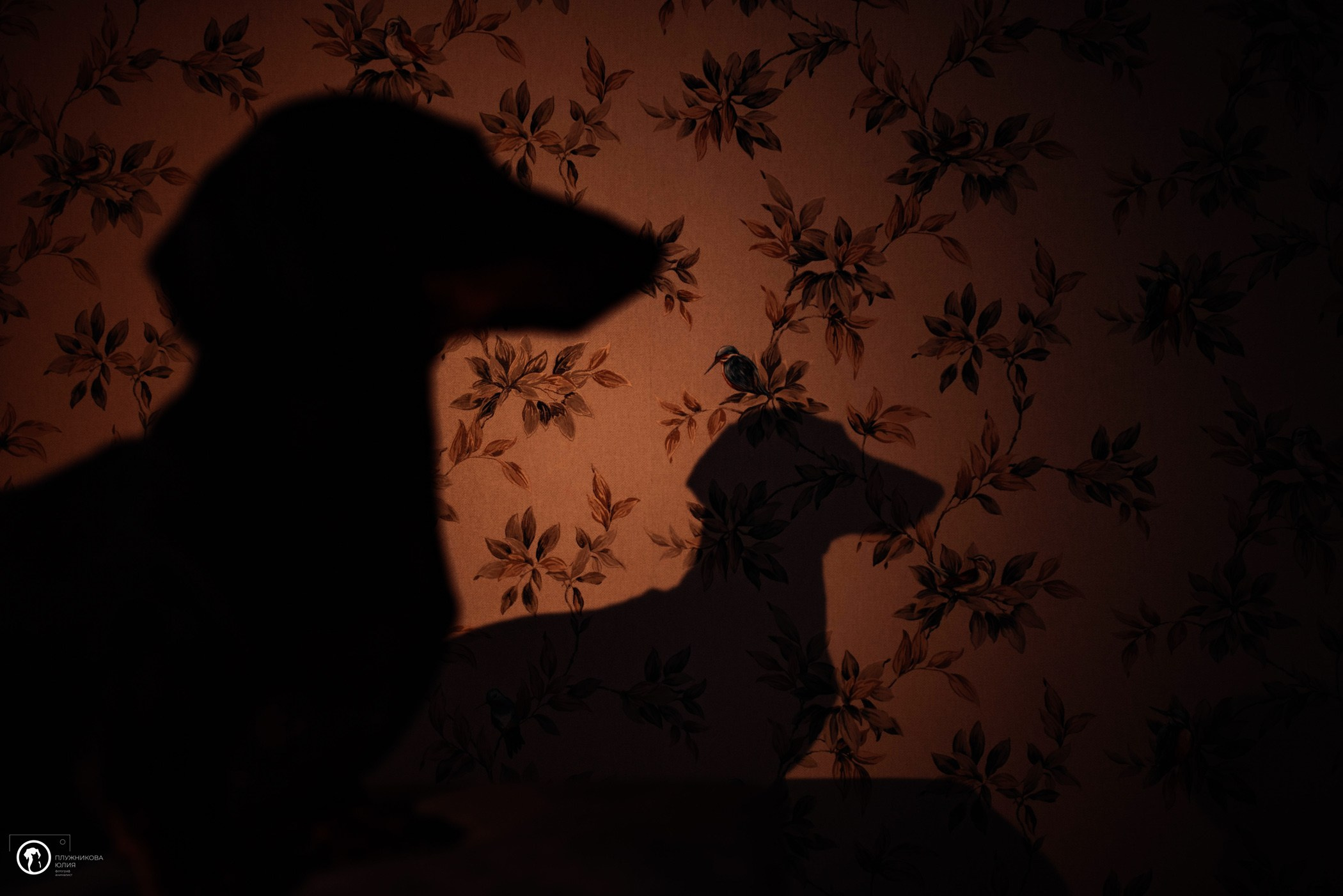 Таня и Грант. Фотограф — анималист Саратов/Москва|Плужникова Юлия