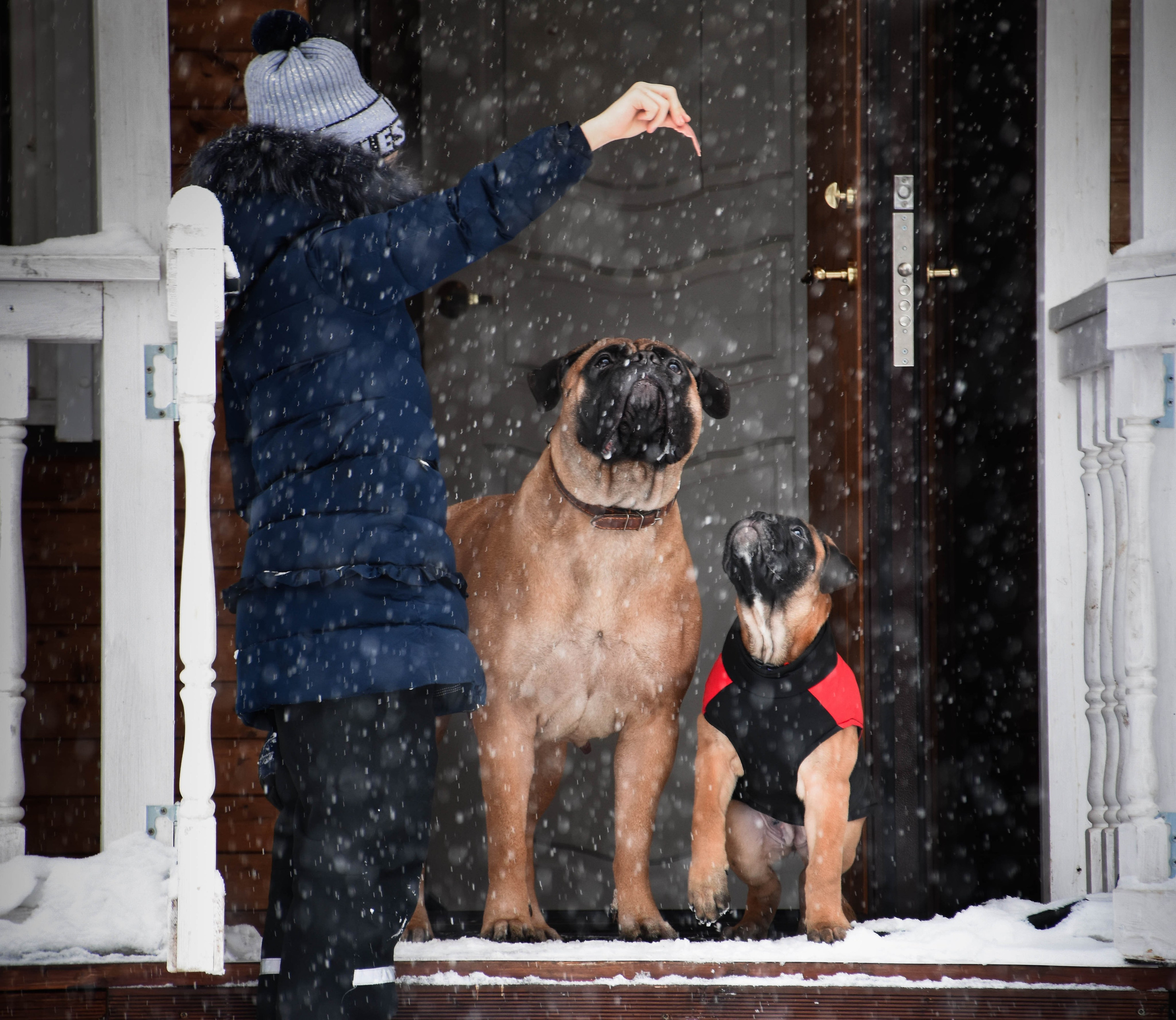 В созвучии с природой. Фотограф Светлана В. Пронина, Москва