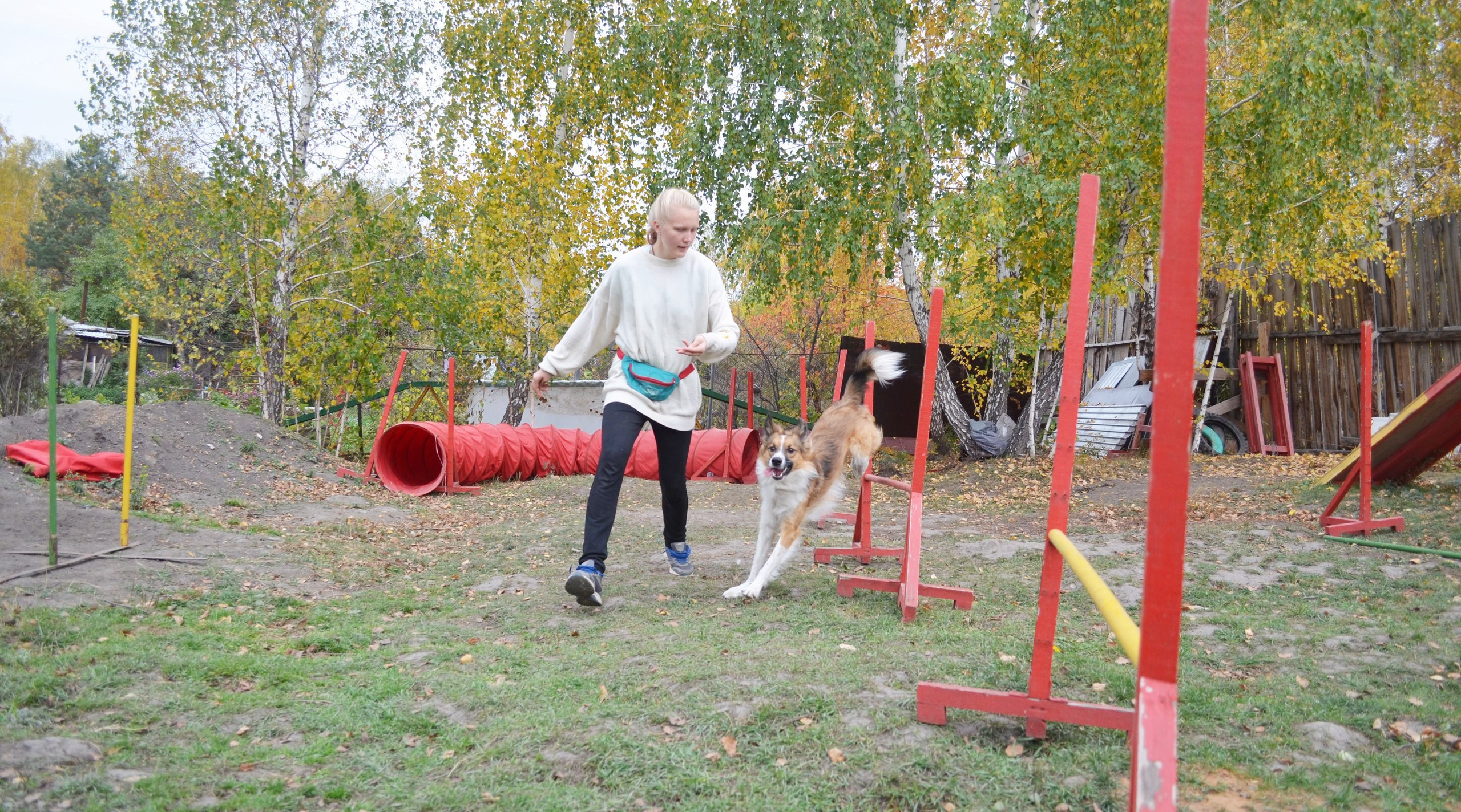 О нас. BLGKV питомник собак