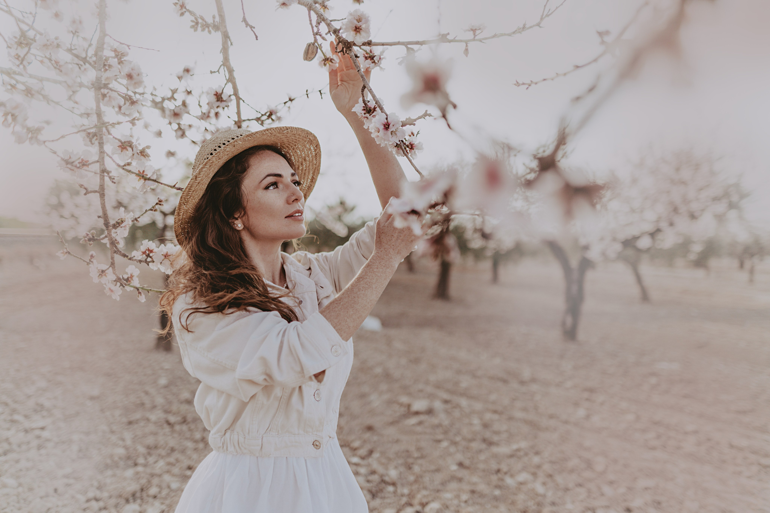 зацвел миндаль в Аликанте и окресностях