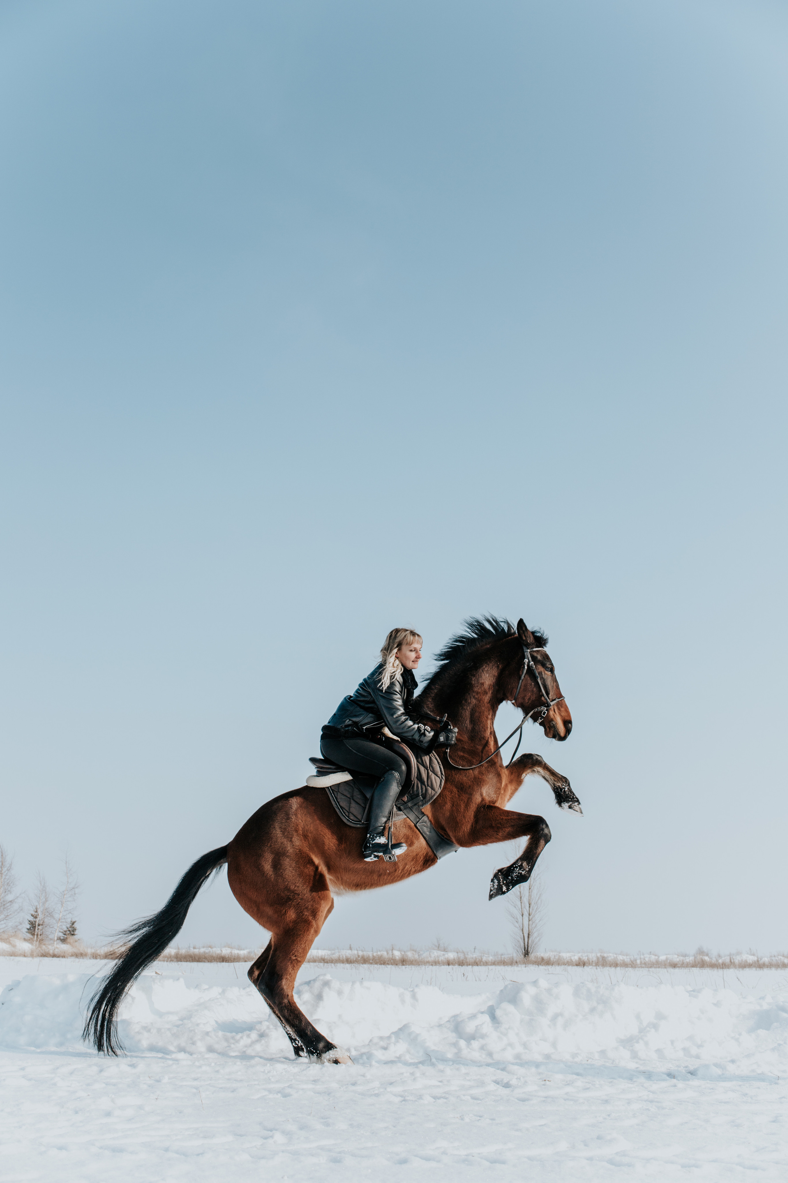Ипподром Лучик. Фотограф в Ульяновске