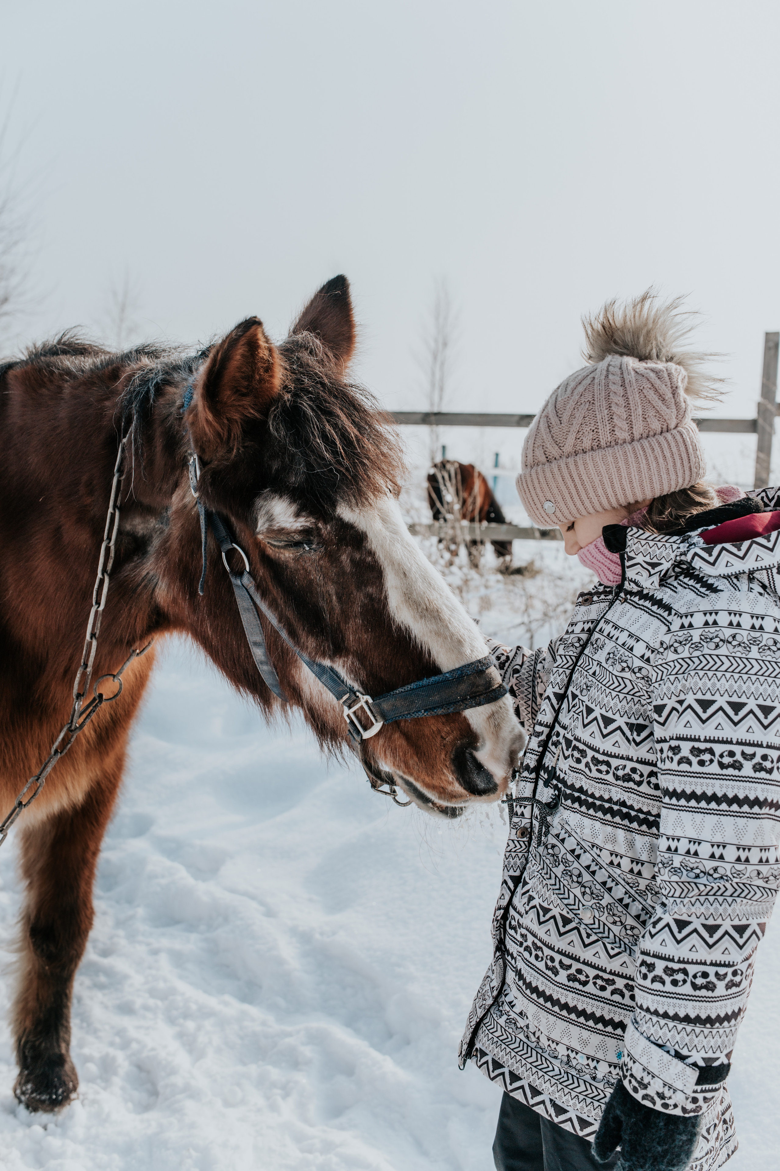 Ипподром Лучик. Фотограф в Ульяновске