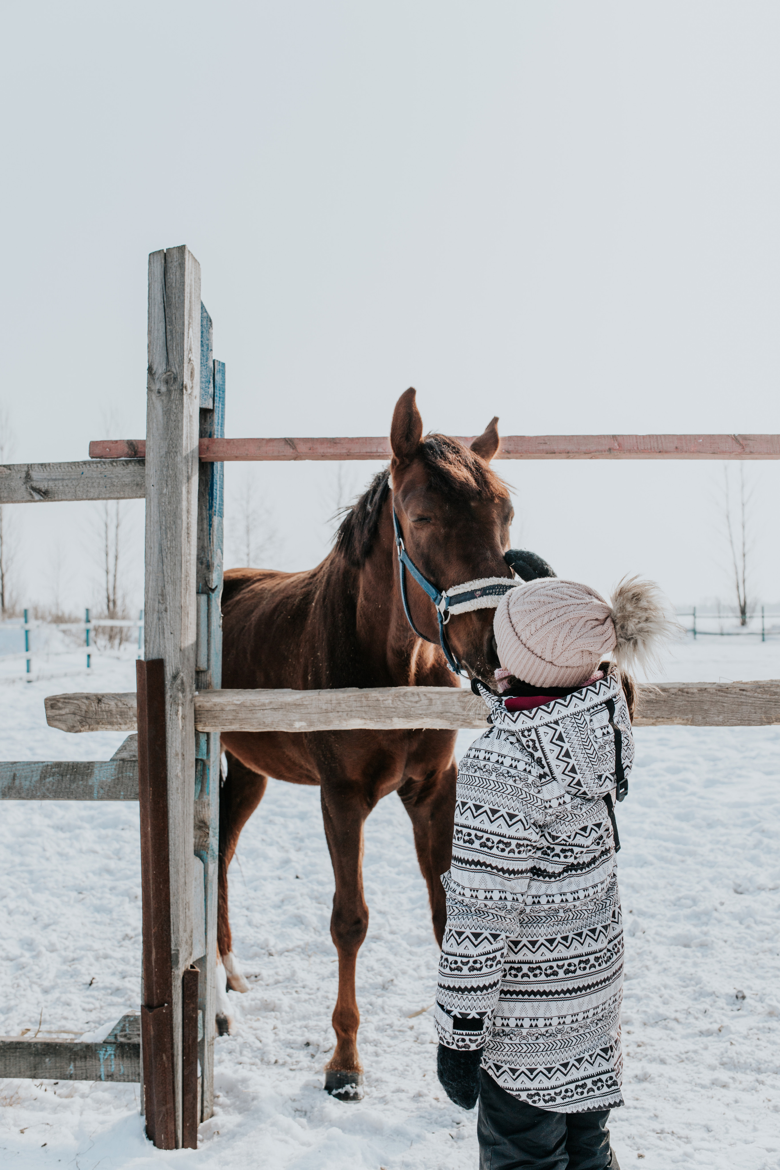 Ипподром Лучик. Фотограф в Ульяновске
