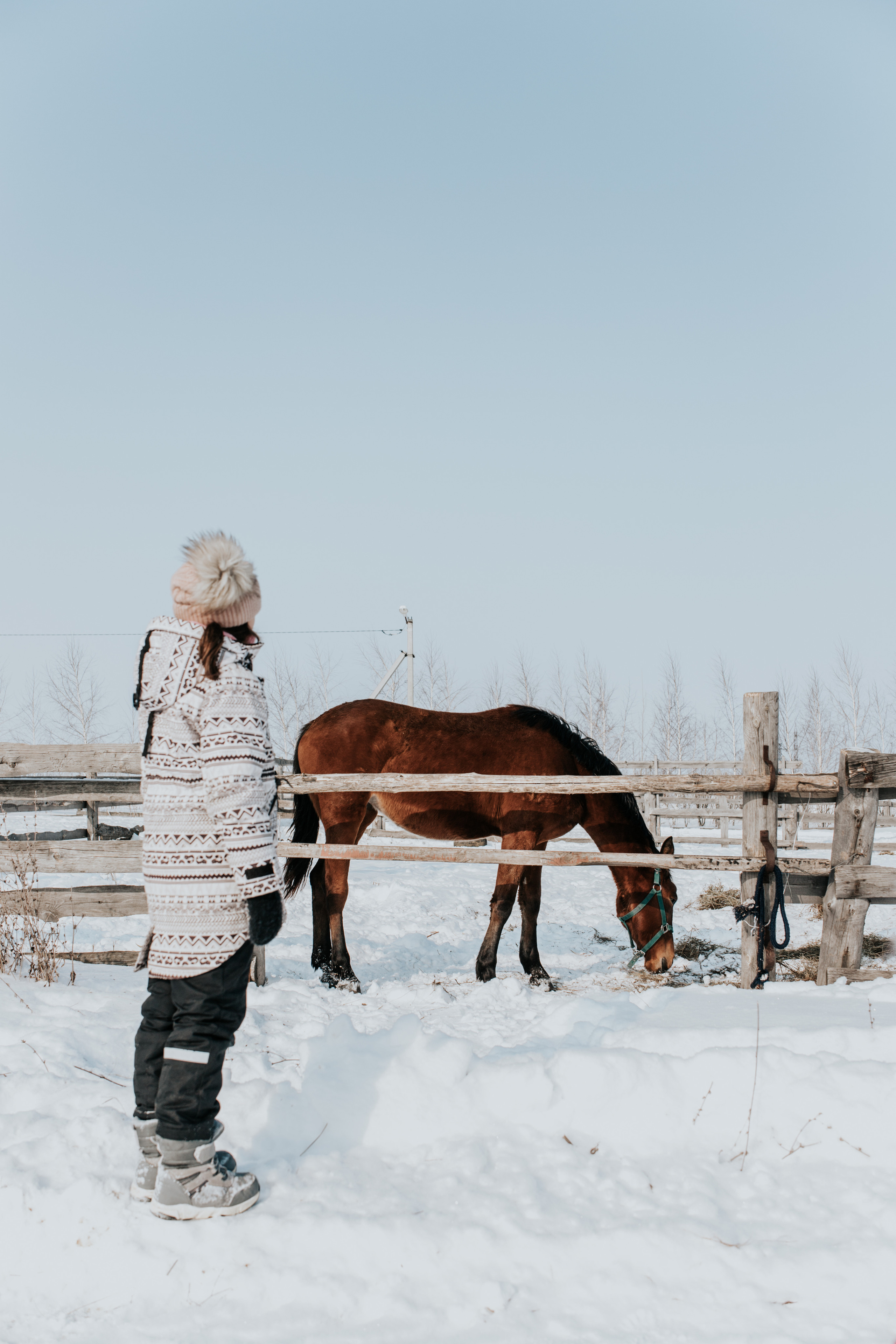 Ипподром Лучик. Фотограф в Ульяновске