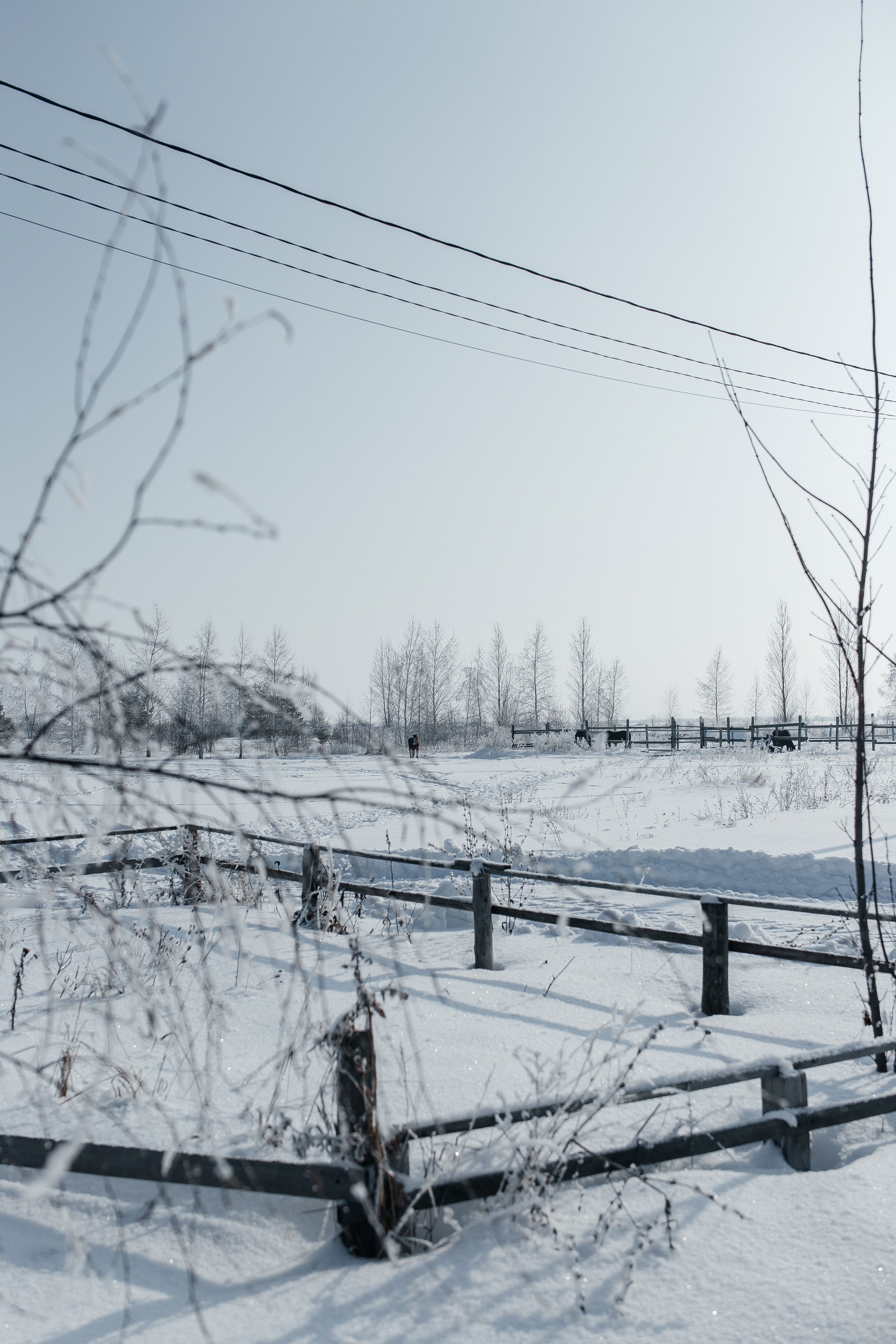 Ипподром Лучик. Фотограф в Ульяновске