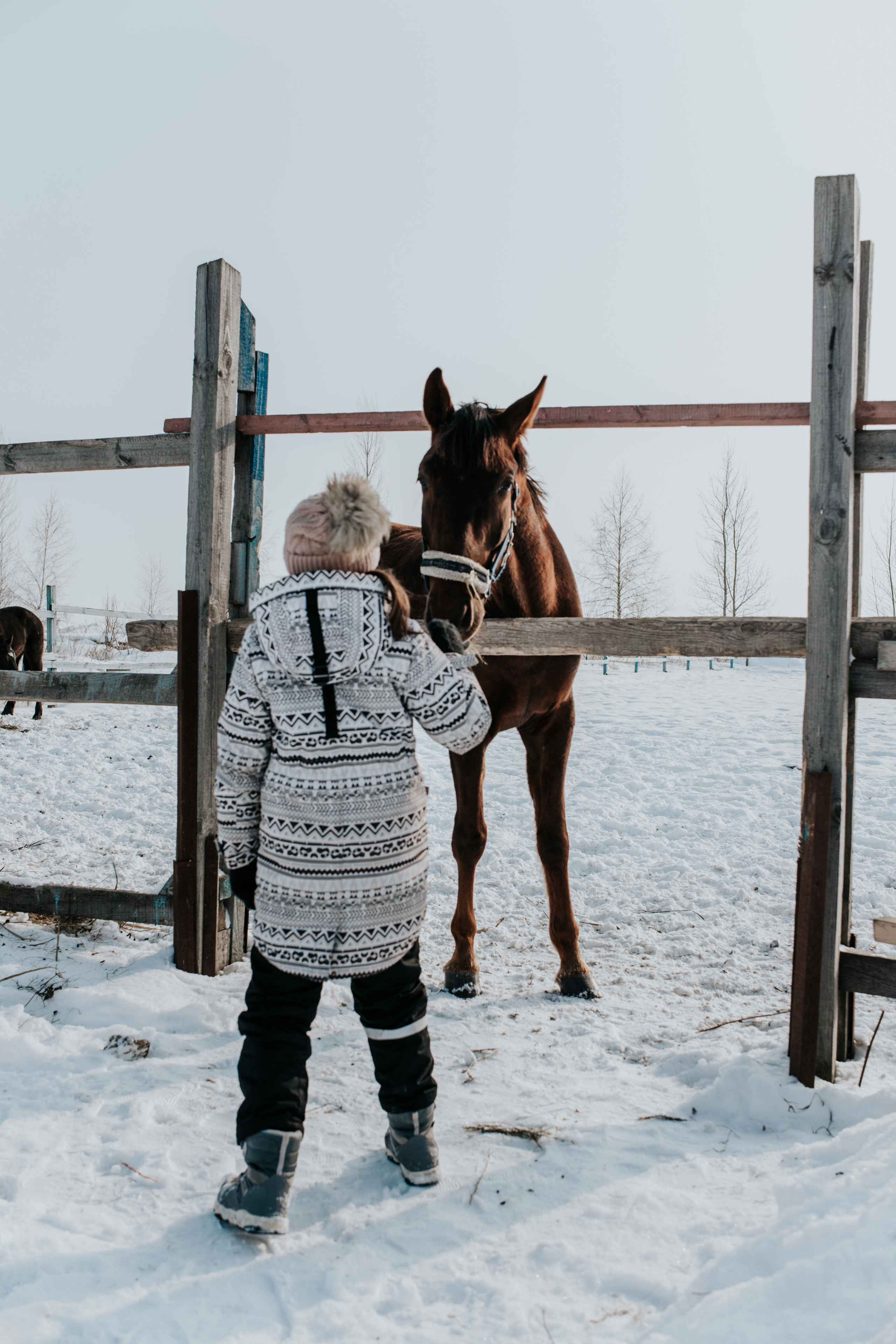 Ипподром Лучик. Фотограф в Ульяновске