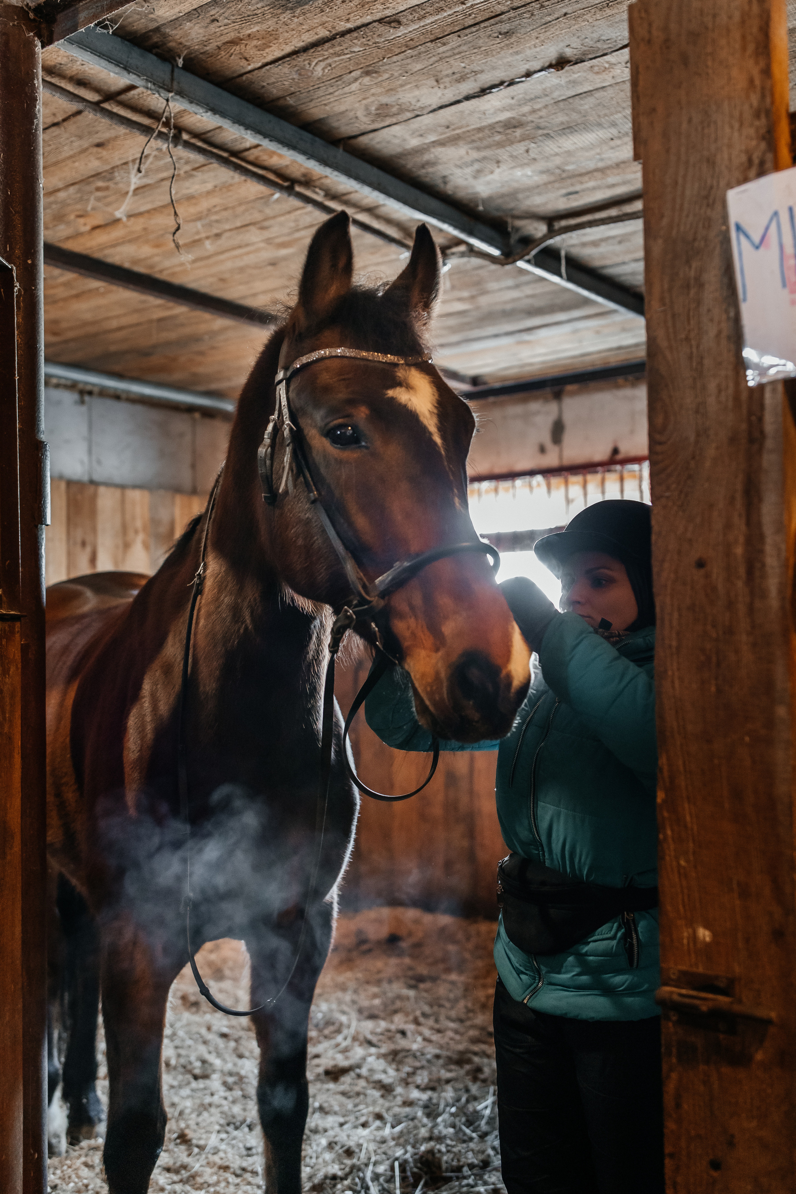 Ипподром Лучик. Фотограф в Ульяновске
