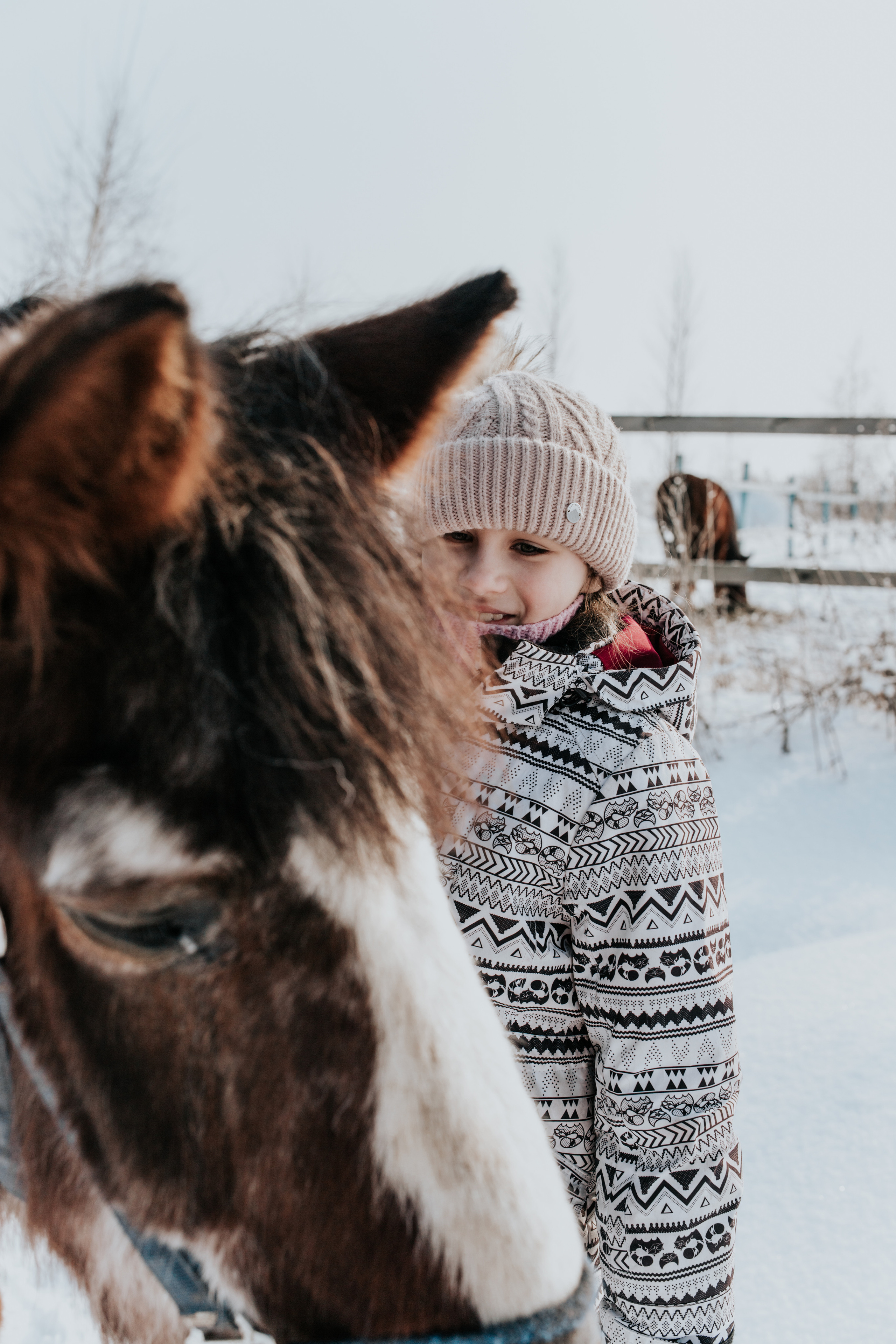 Ипподром Лучик. Фотограф в Ульяновске