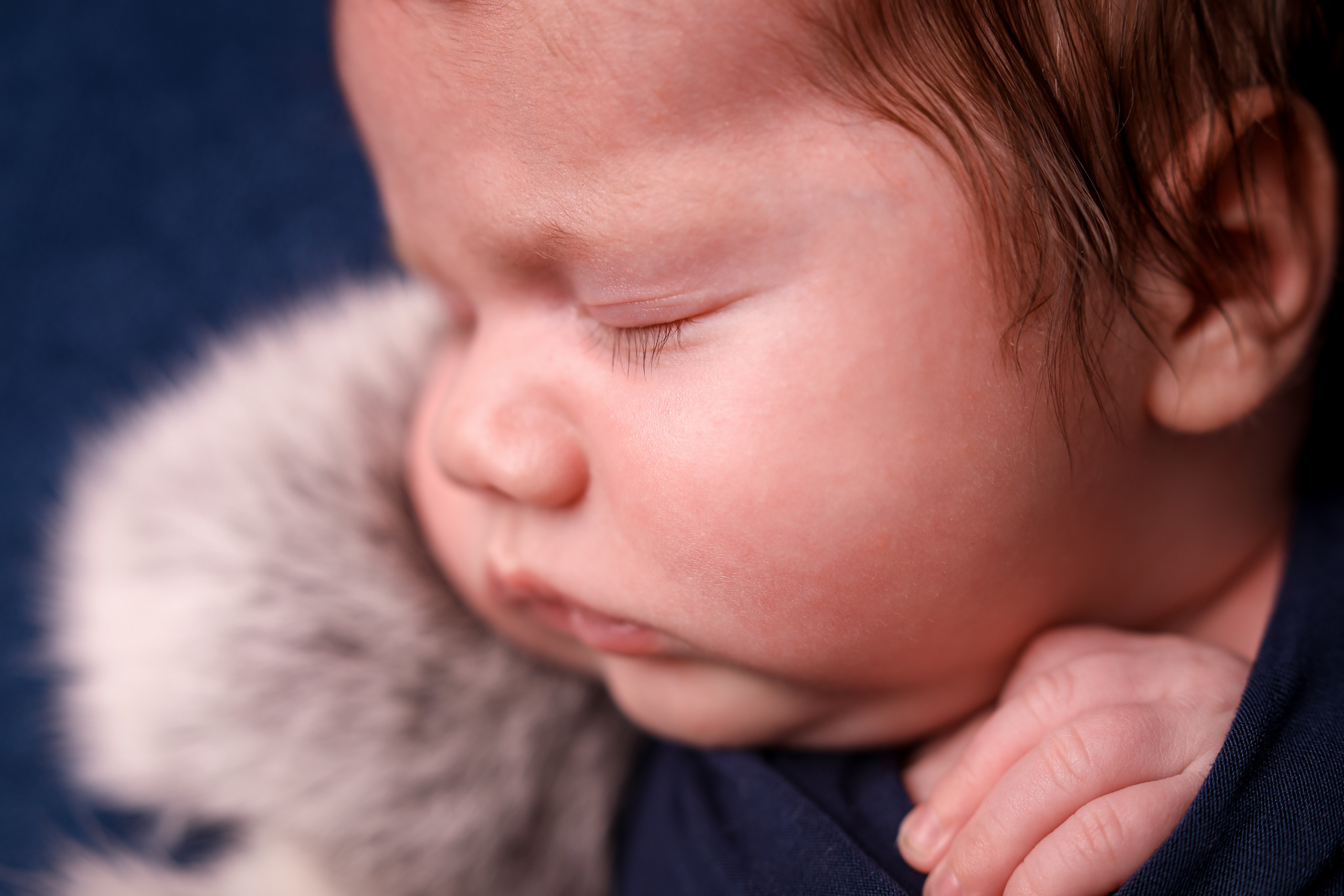 Новорожденные. Нина Зеленева фотограф новорожденных