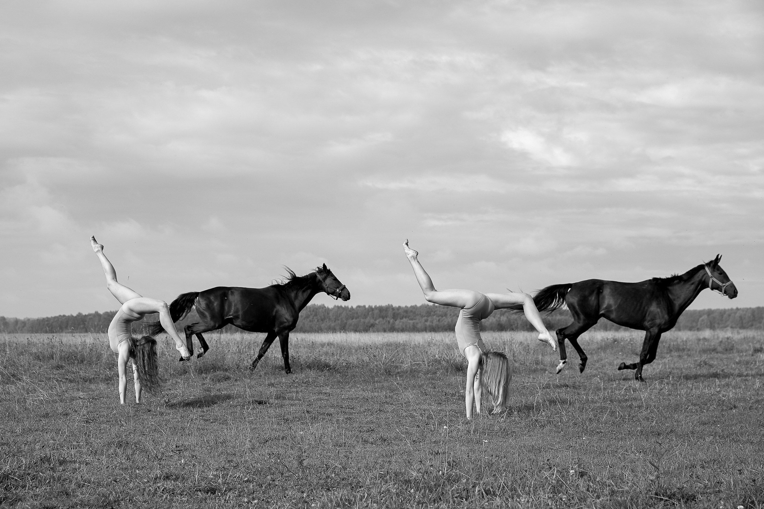 Балет и лошади, фотосессия «ГРАЦИЯ и СИЛА-1» Фотограф Михаил Семенов г. Ярославль